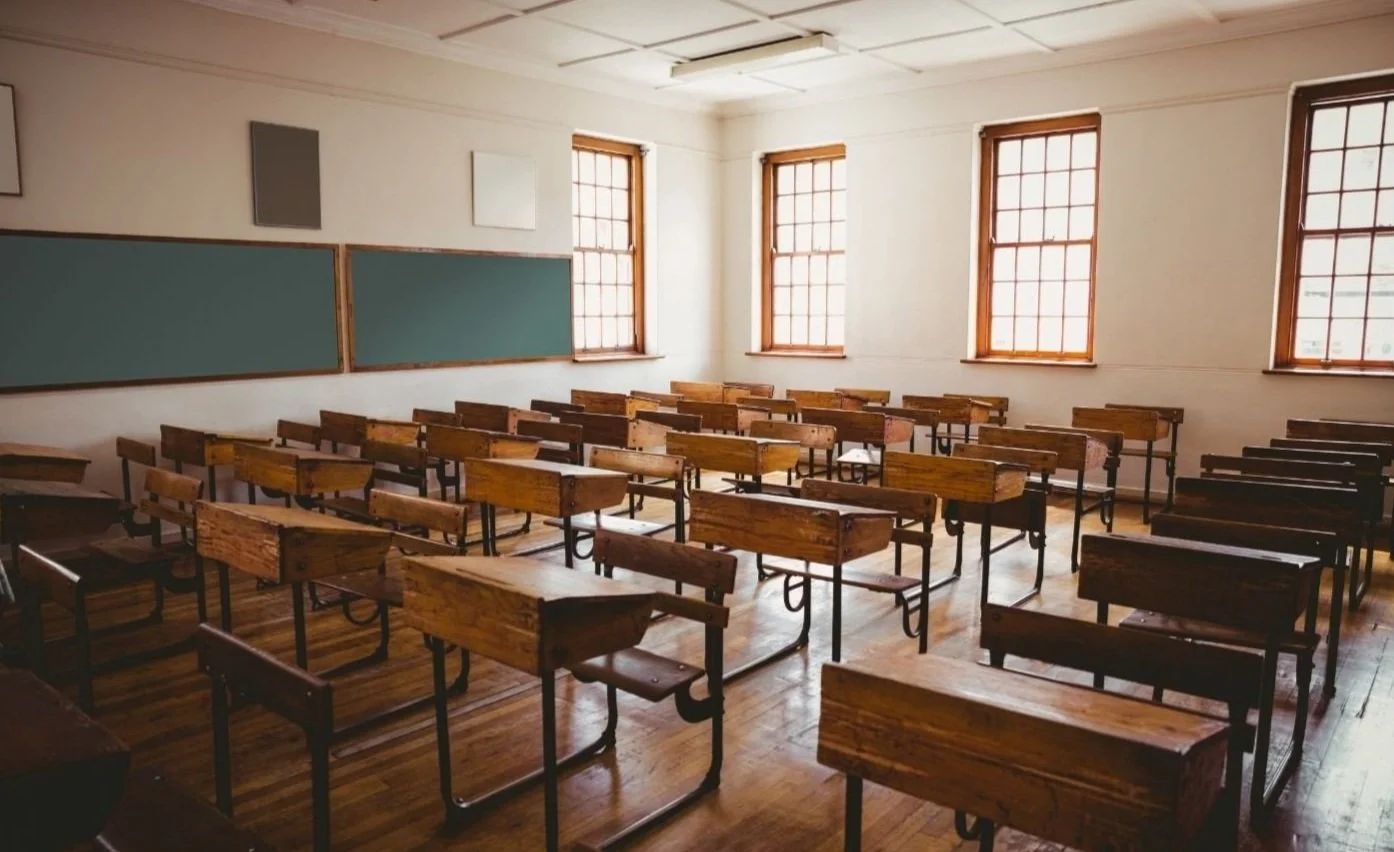 Factory Model for PD? — Joyful Inclusion | Dr. Amy Pleet-Odle