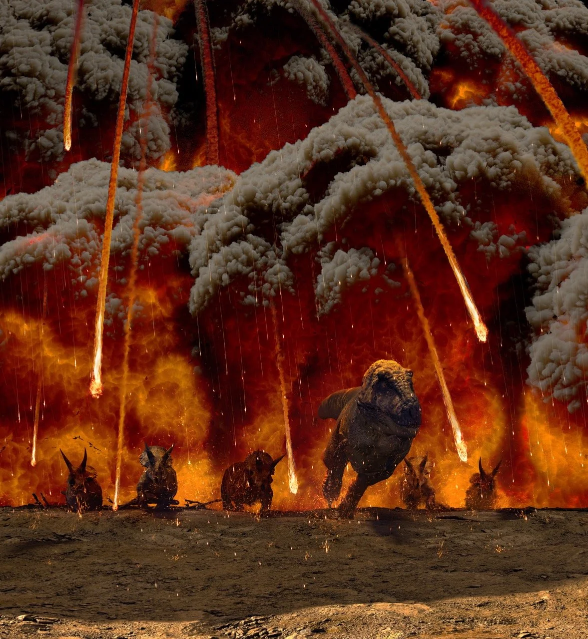 PLUME 3b illo Large.jpeg