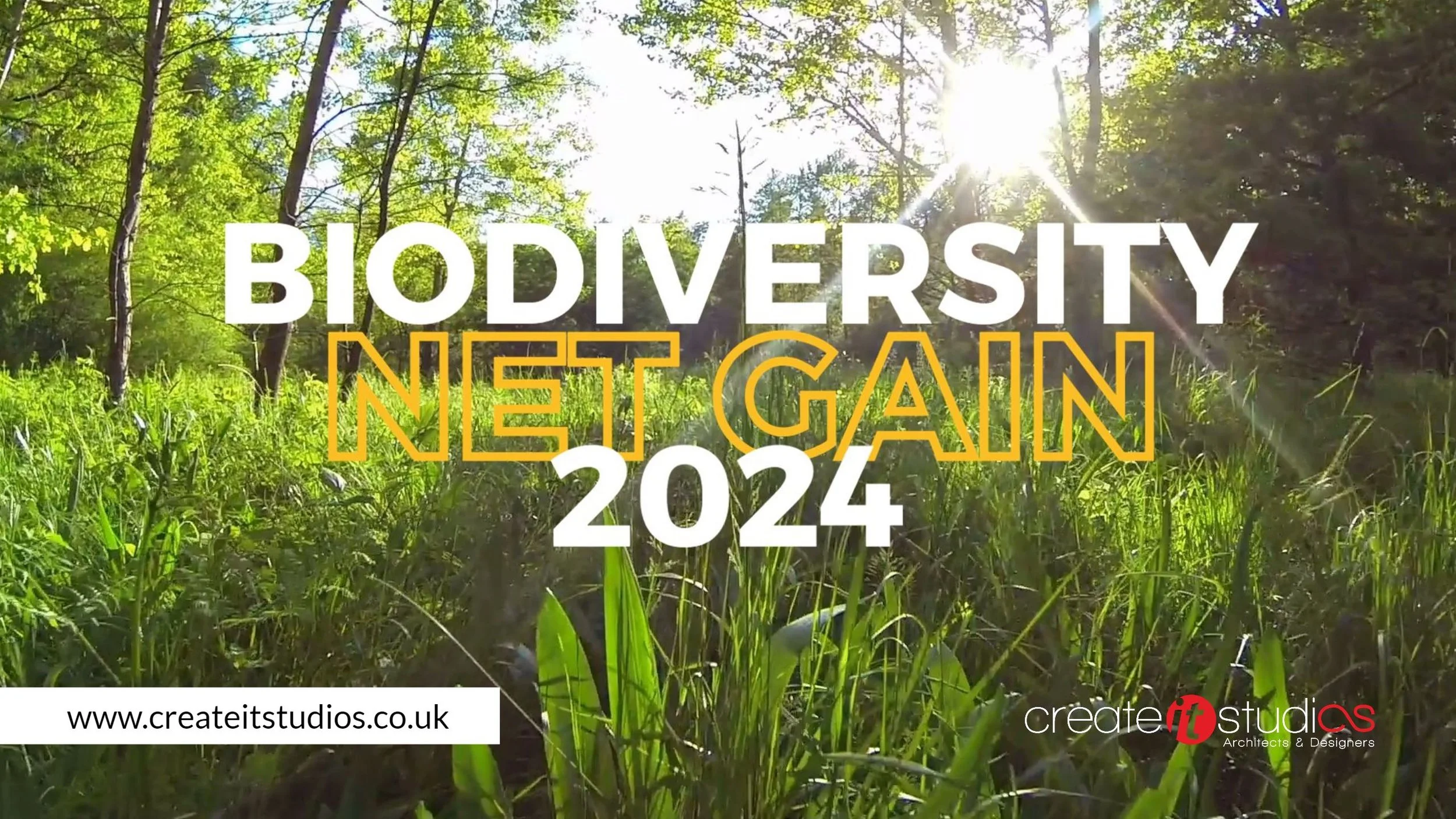 What Is Biodiversity Net Gain Uk