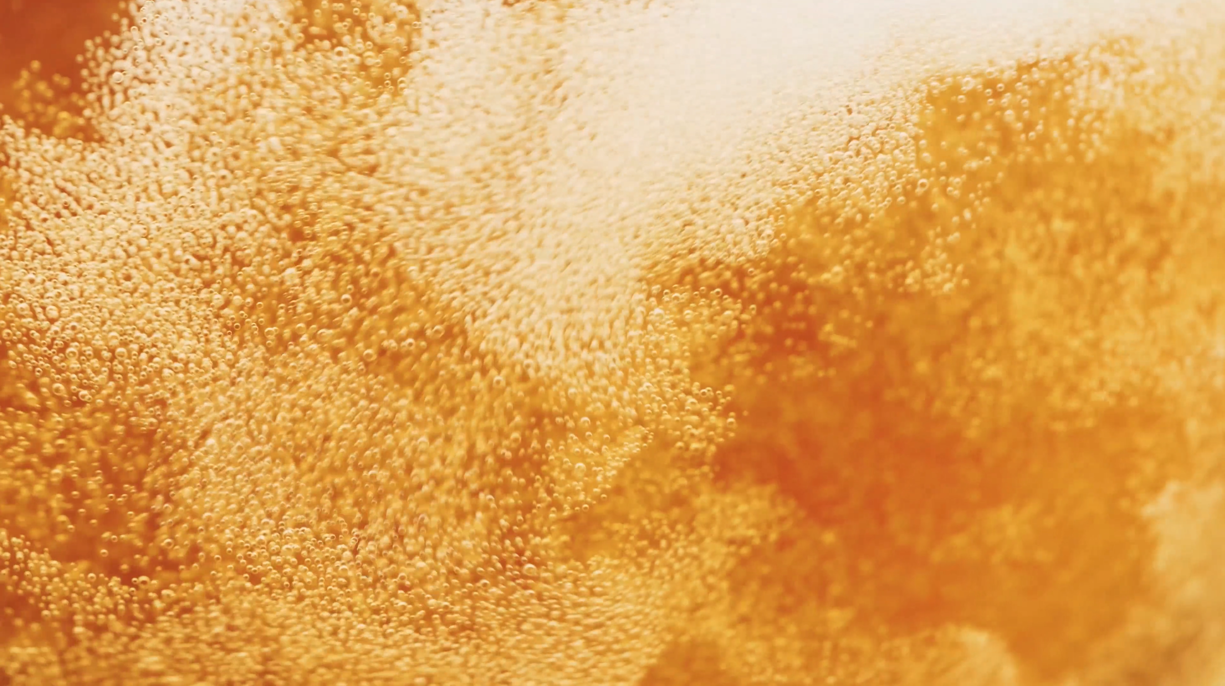 Screenshot 2025-10-23 at 12.16.51.png