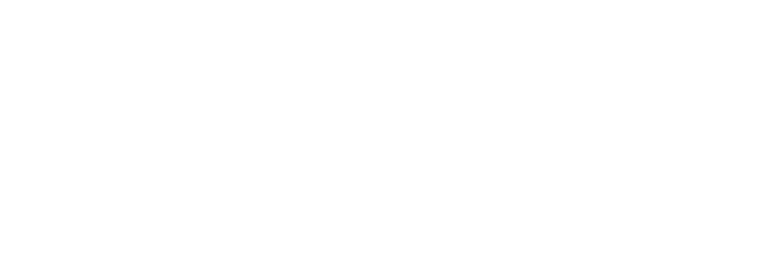 Text reading 'Electric Bike' in bold, distressed white letters on a black background.