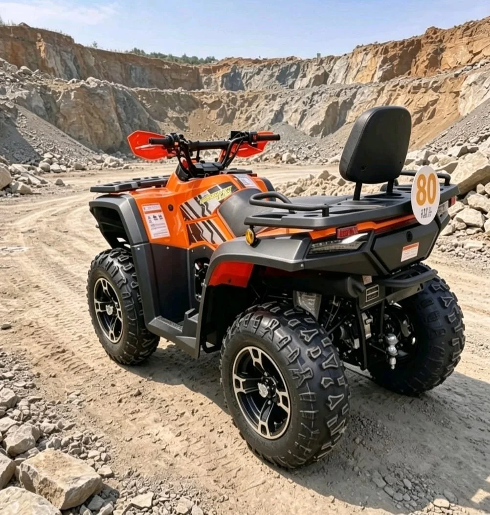 bashan 320 orange 1.jpeg