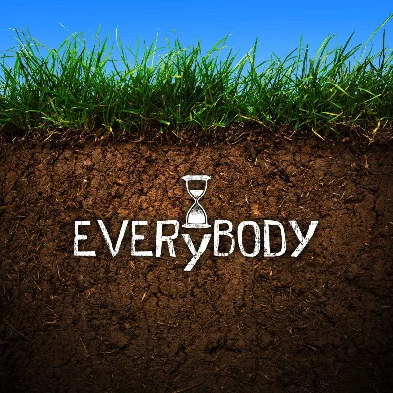Everybody
