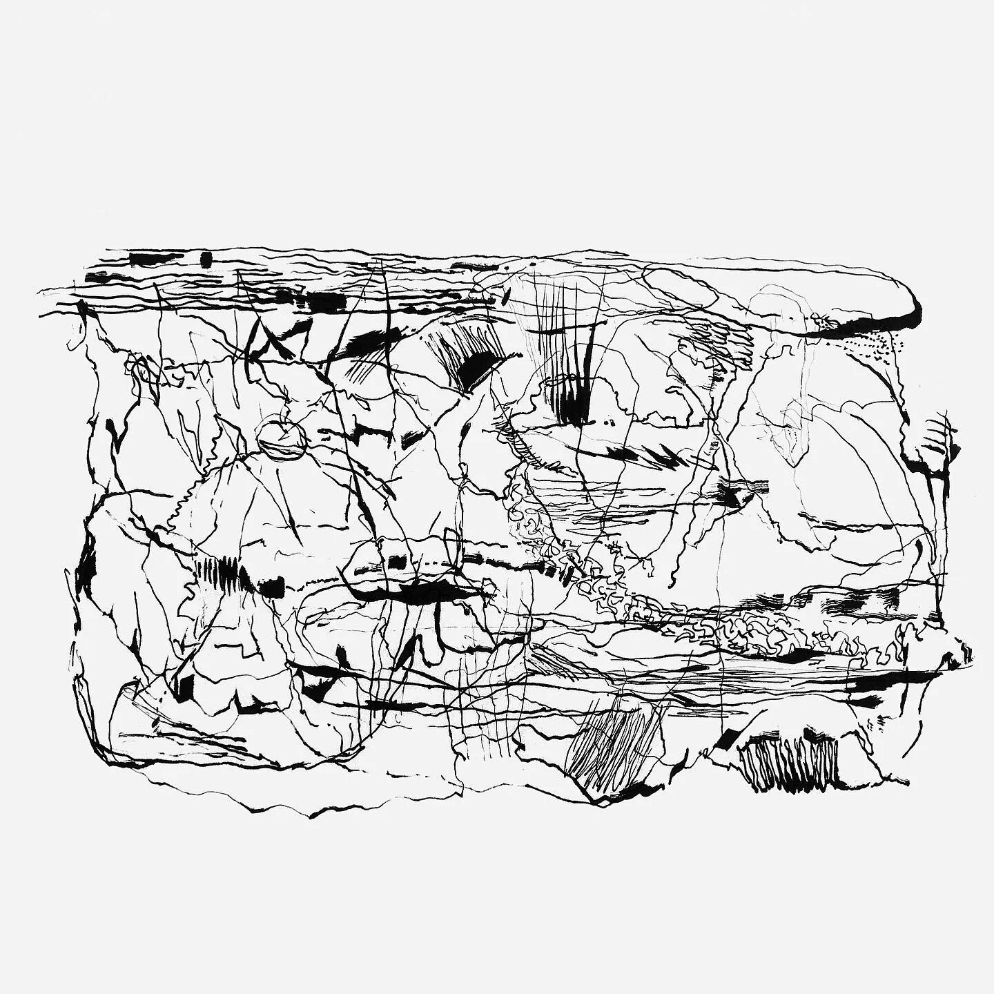 brindilles 
#ink #illustration