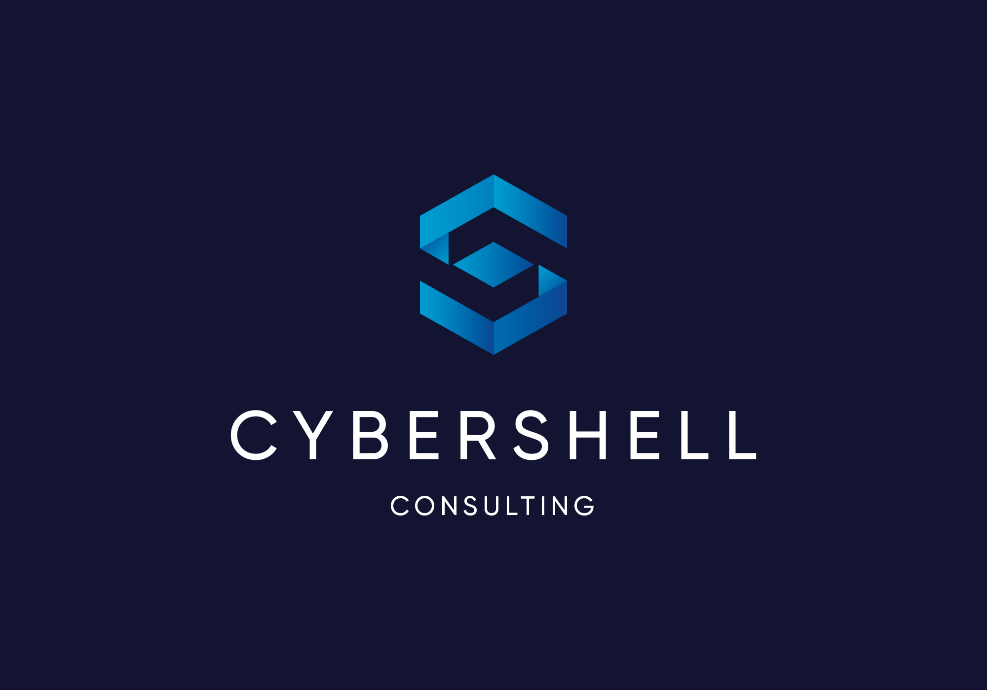 A_1111_port_cybershell_1.png
