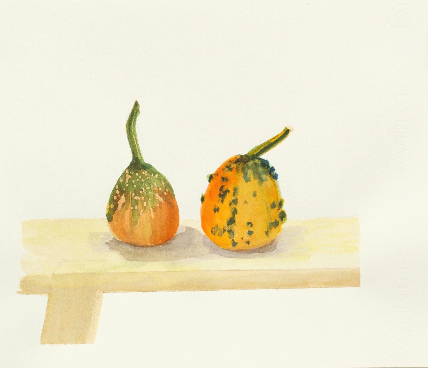 Two Winter Squash, Watercolor on Archival Paper, 12 x 16 inches