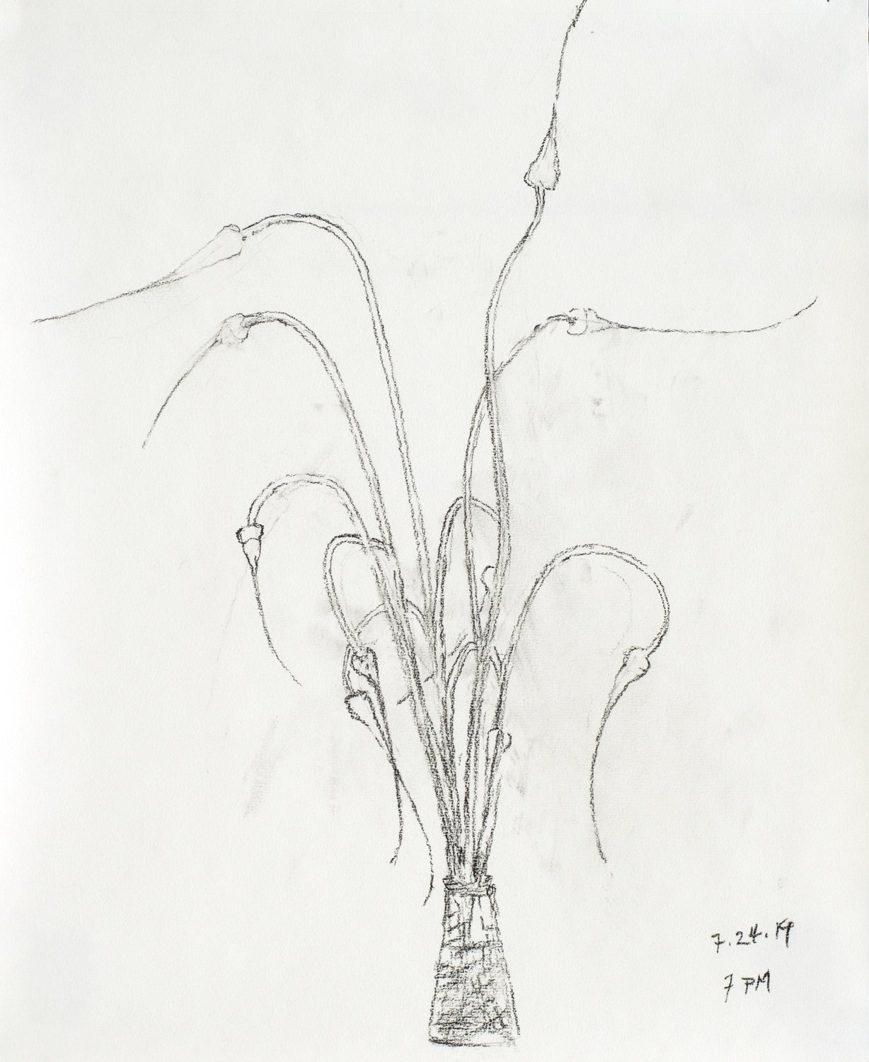 Garlic Scapes 7.24.19 7 PM, Vine Charcoal on Strathmore Drawing Paper, 17 x 14 inches