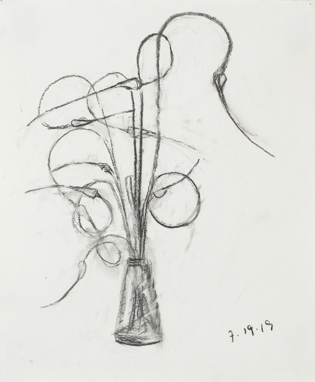 Garlic Scapes 7.19.19, Vine Charcoal on Strathmore Drawing Paper, 17 x 14 inches