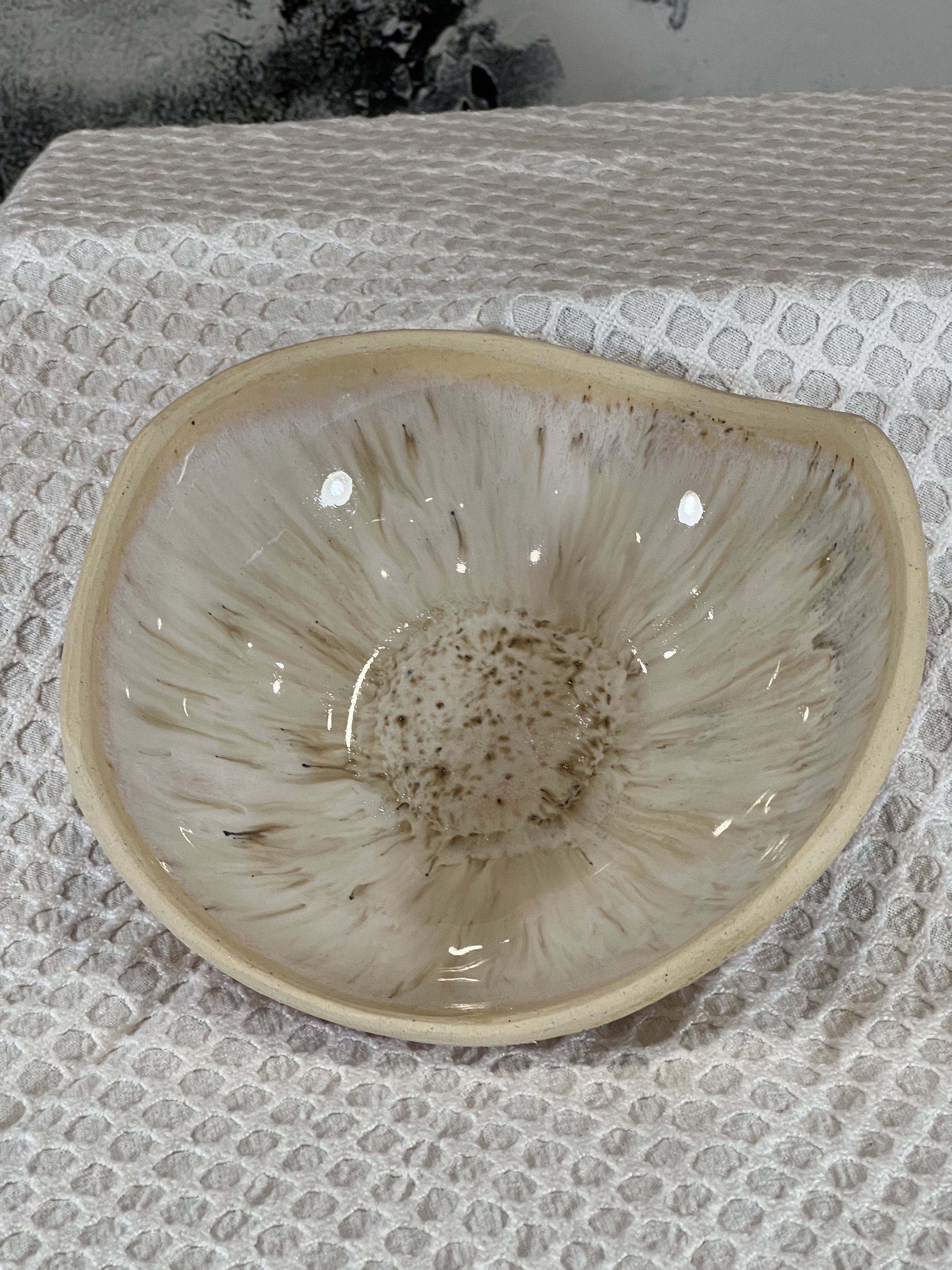 Birch Run Center dish 2.jpeg