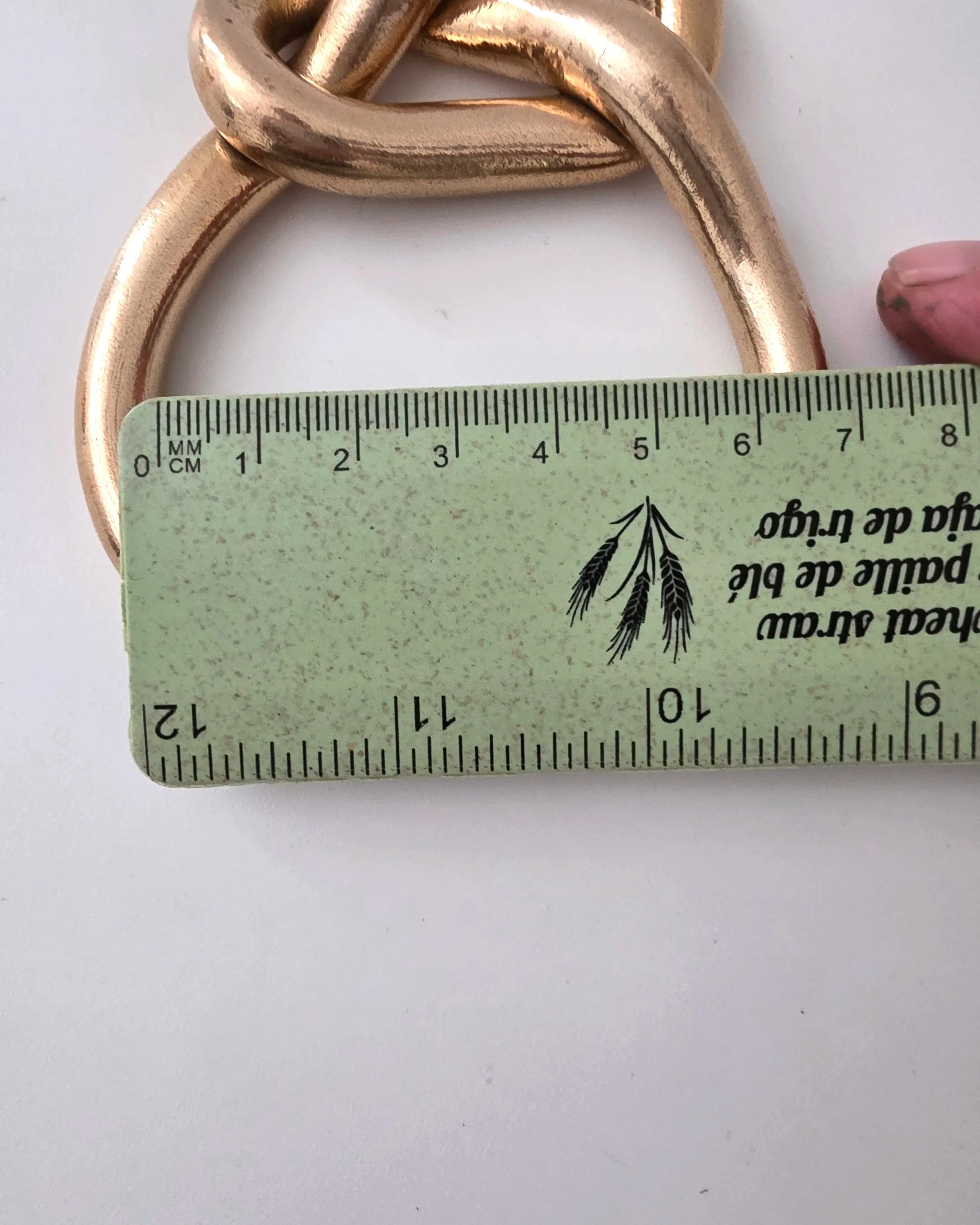 20260910_130335.jpg