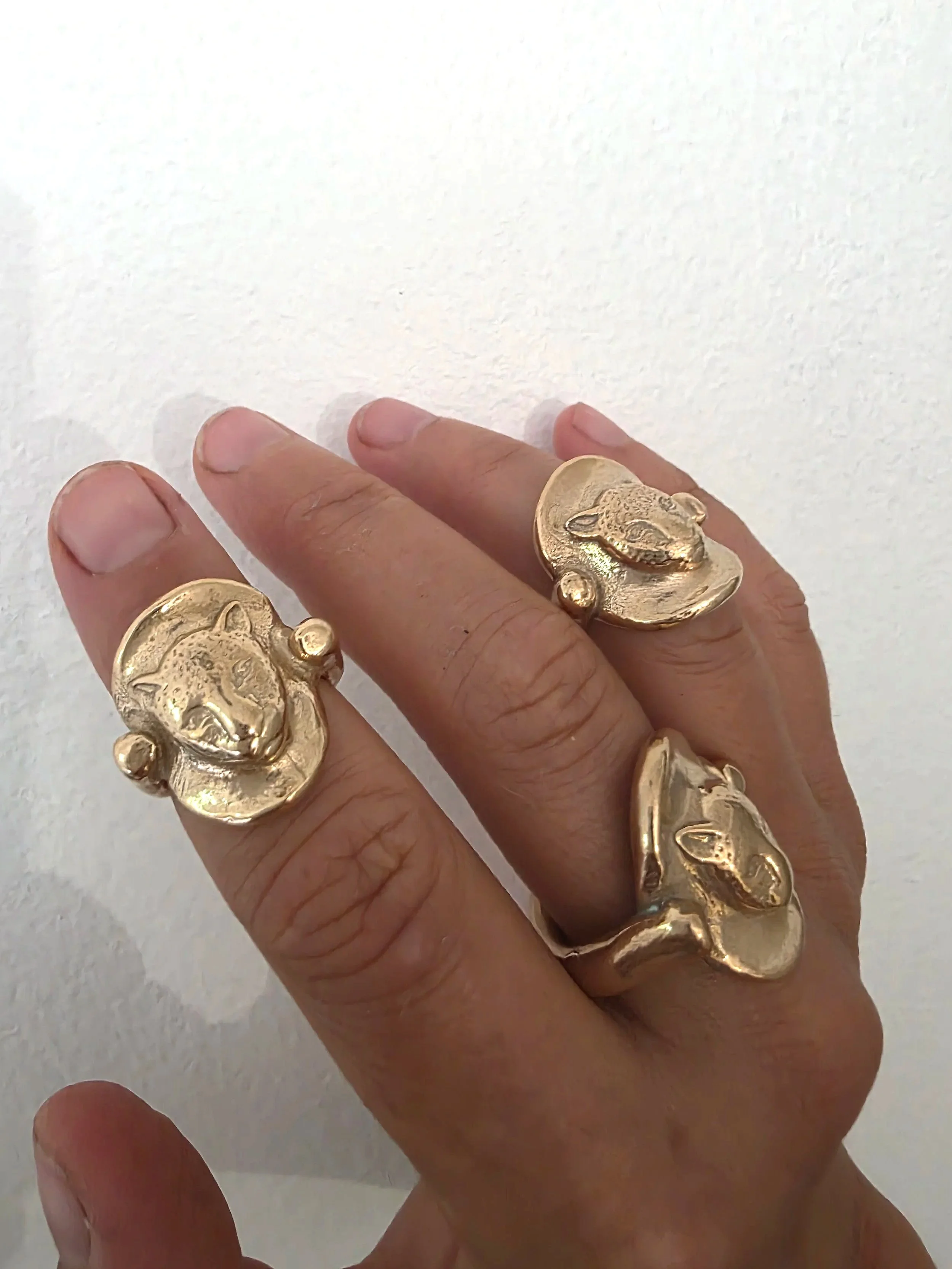 Feline fancy ring