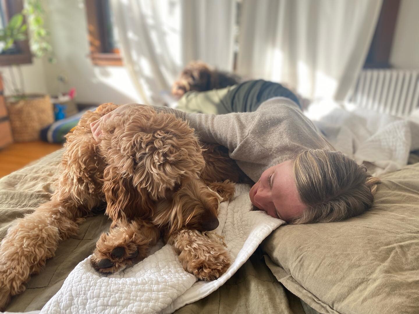 🐾🥰🐾