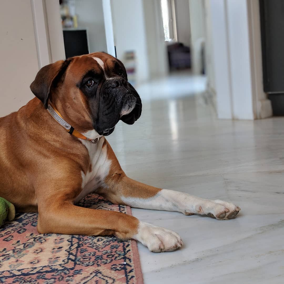 Victor