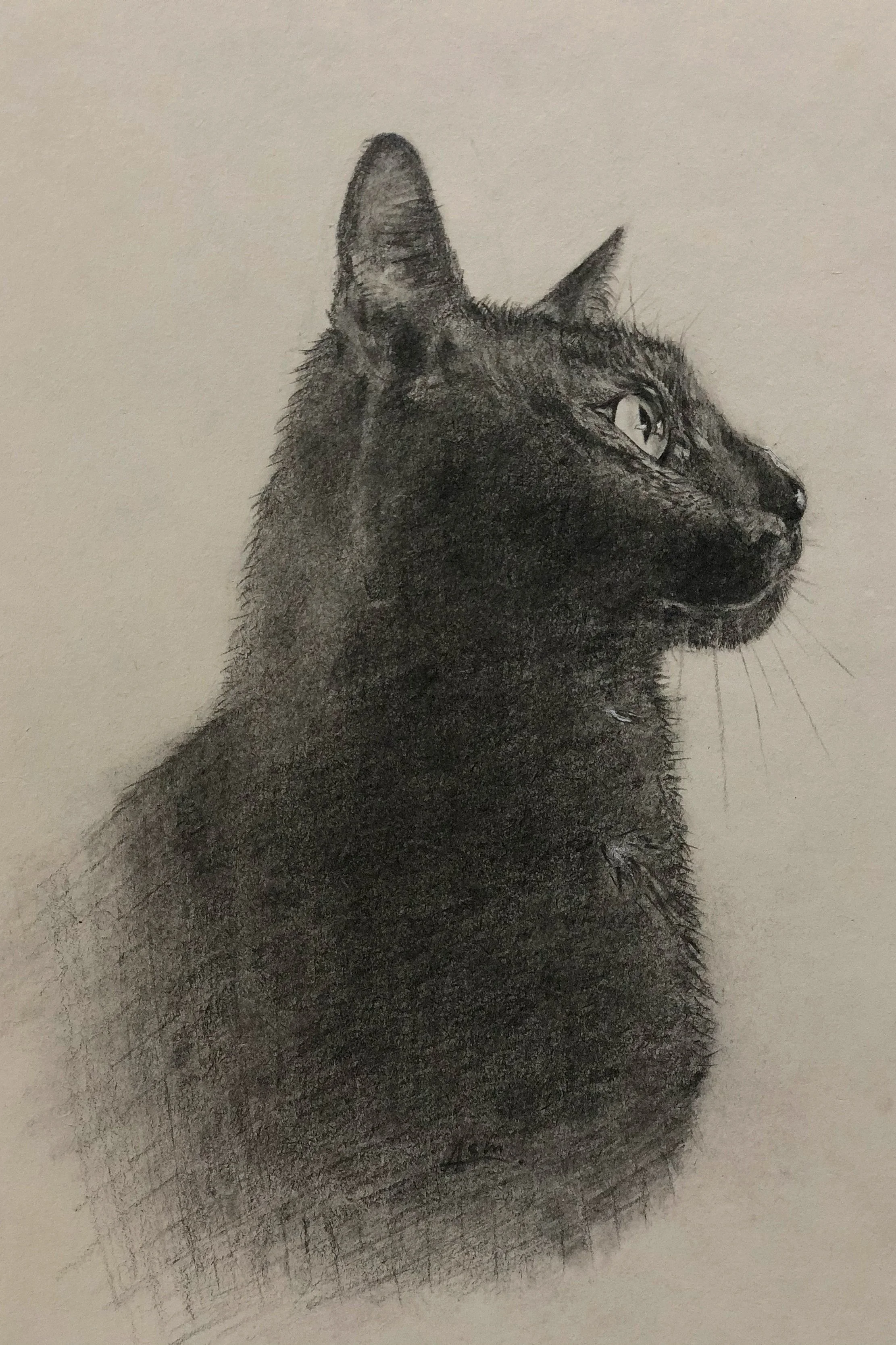 Pencil 