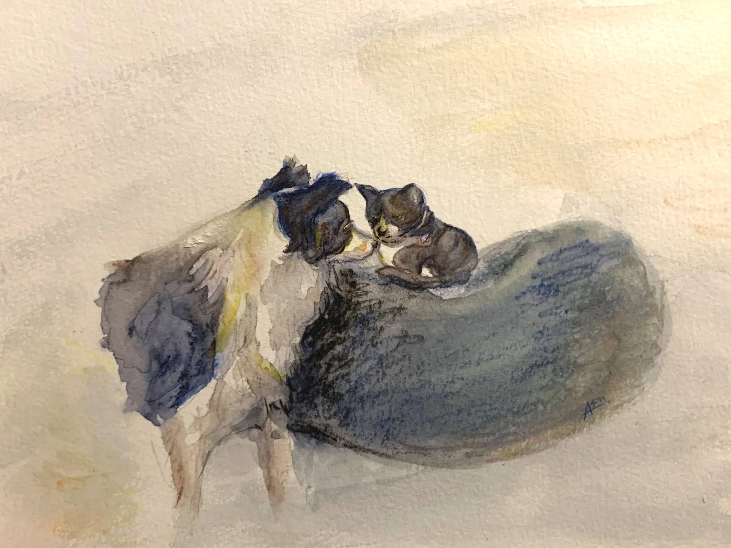 Watercolour pencil