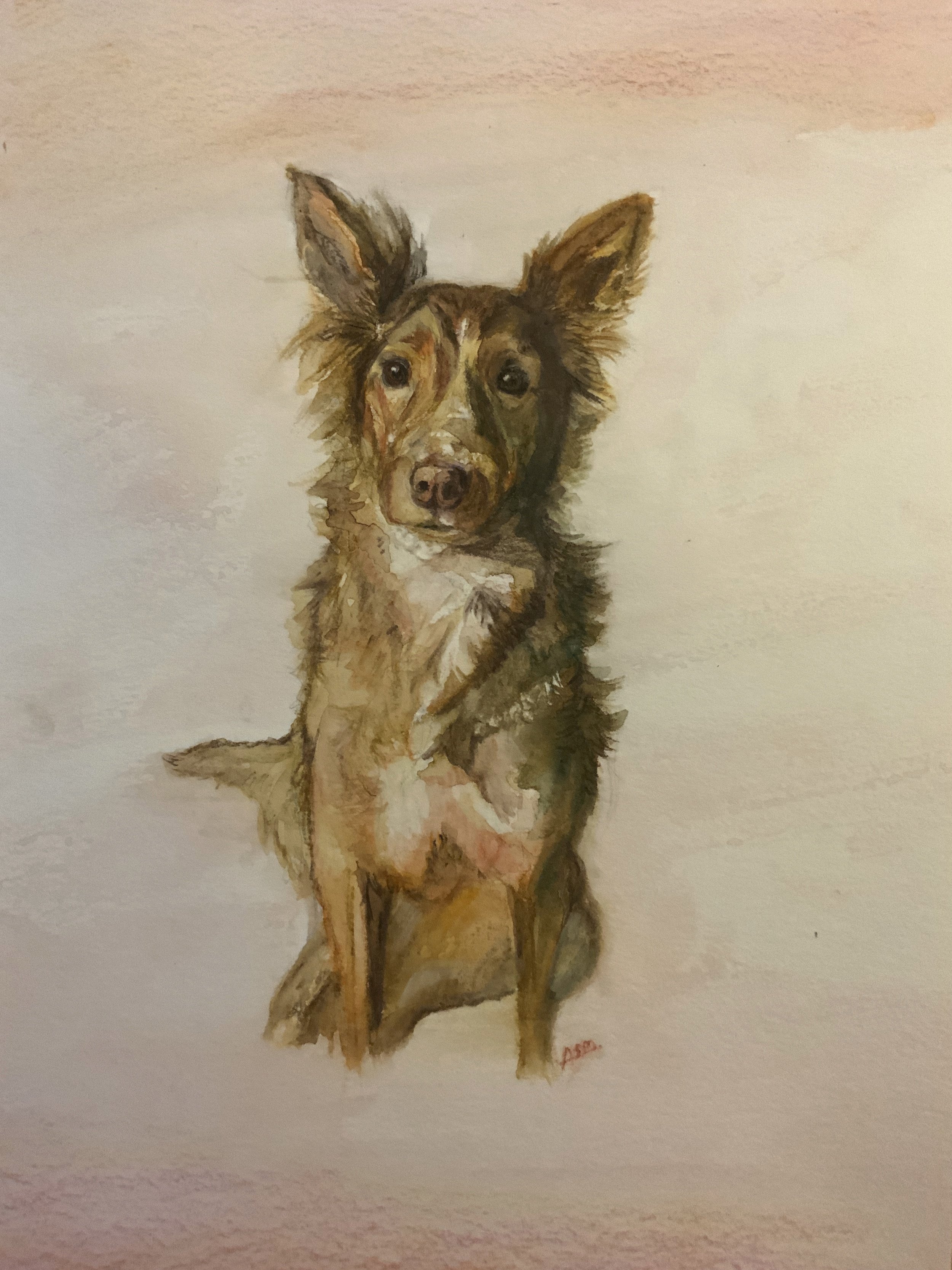 Watercolour pencil