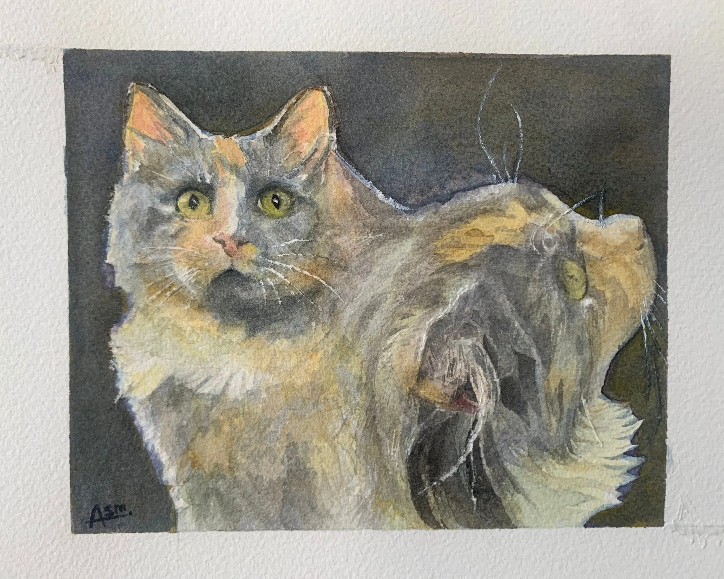 Watercolour