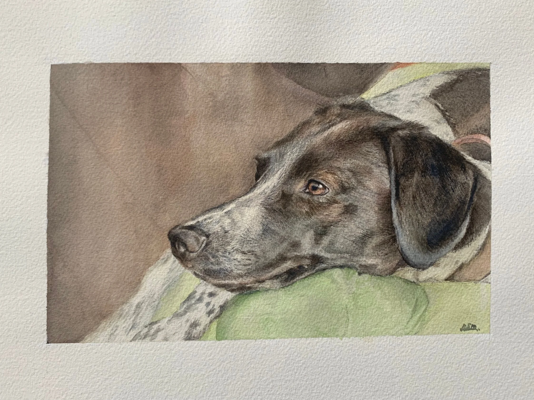 Watercolour