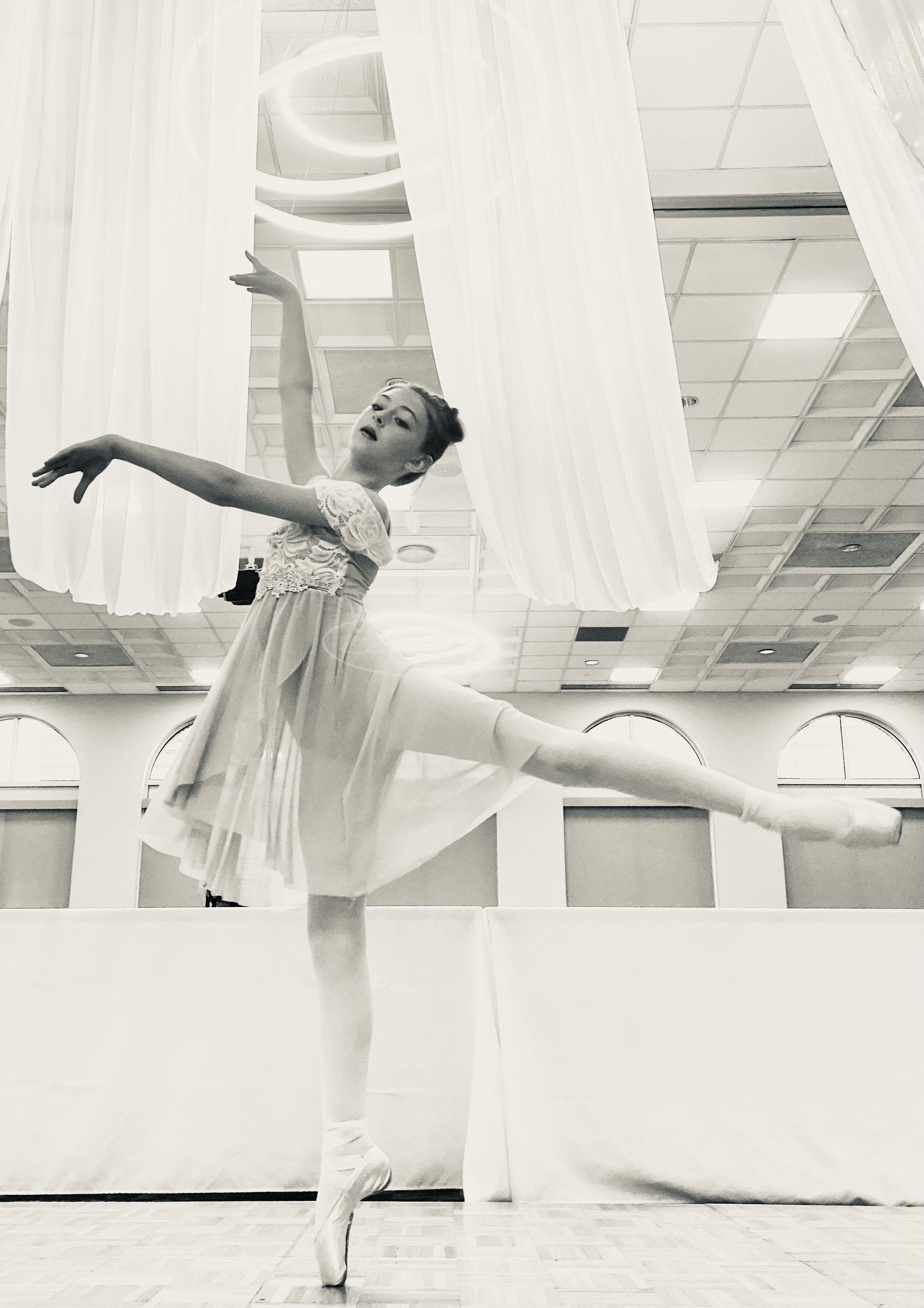 Ballet Companies — THE ACADEMY OF DANCE & FINE ARTS