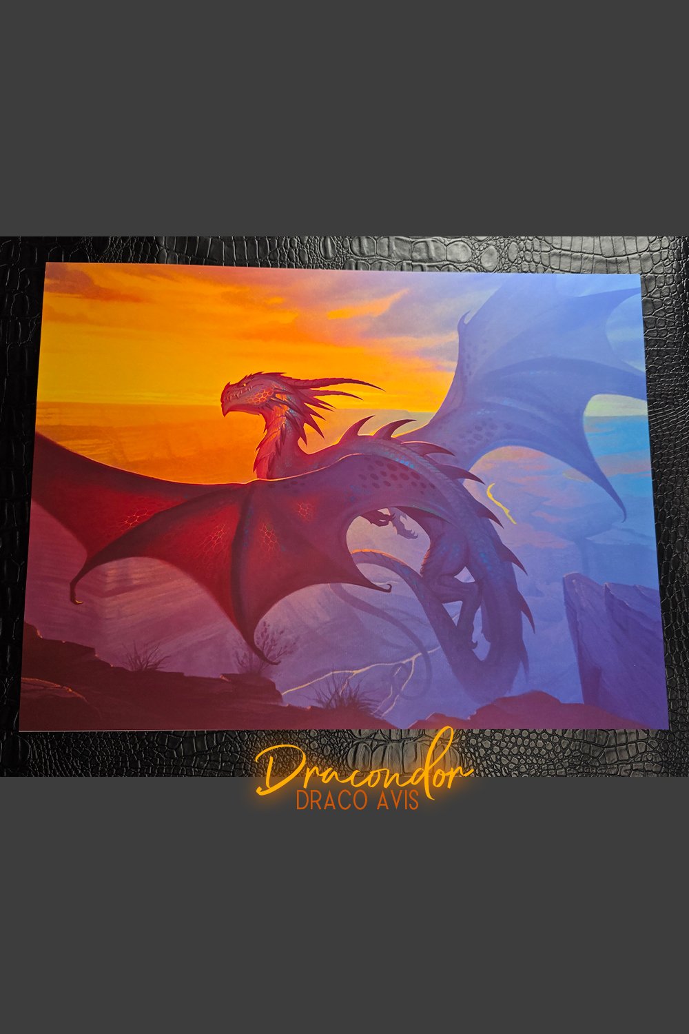 Draco Avis - Dracondor.jpg
