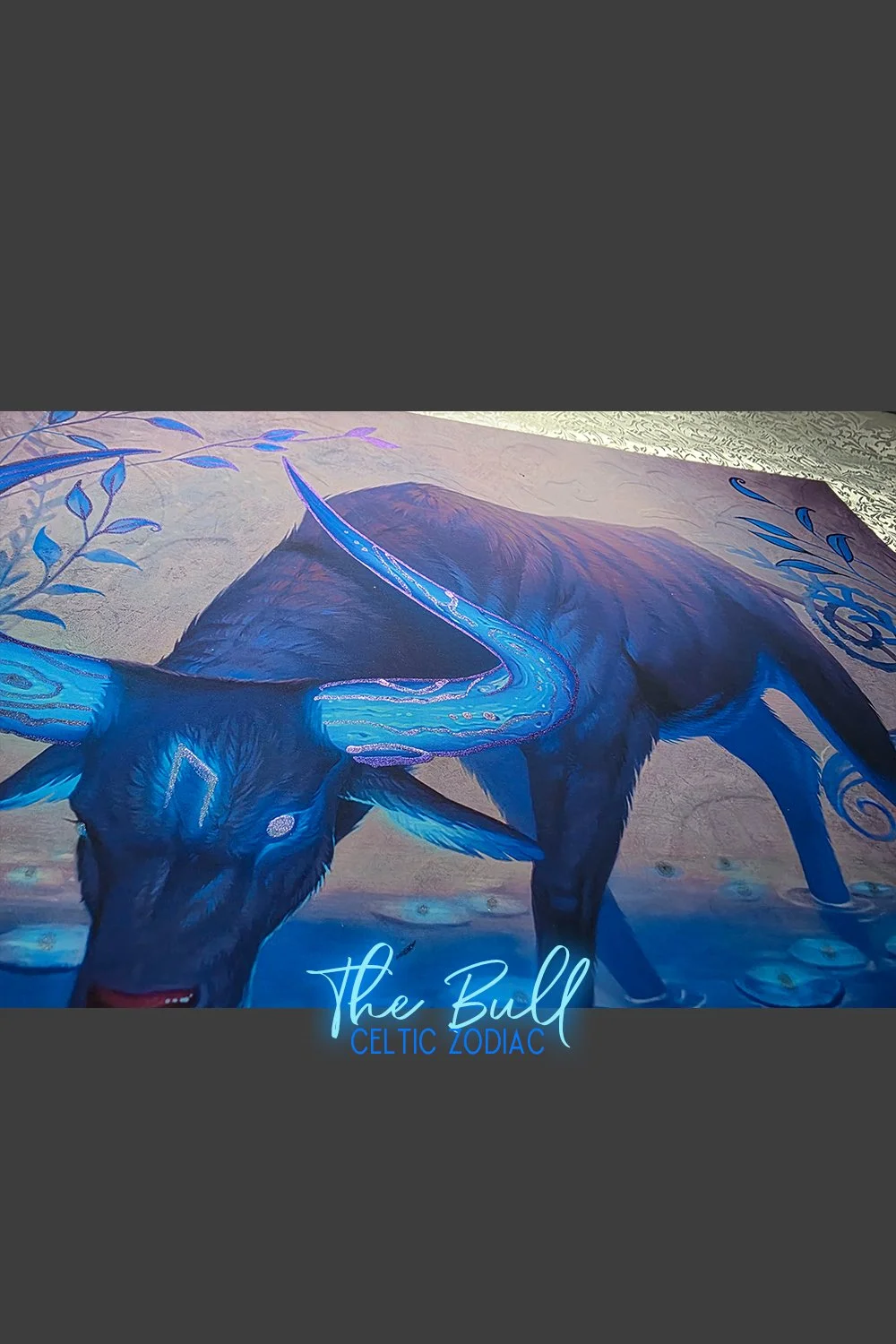 05 Bull 03.jpg