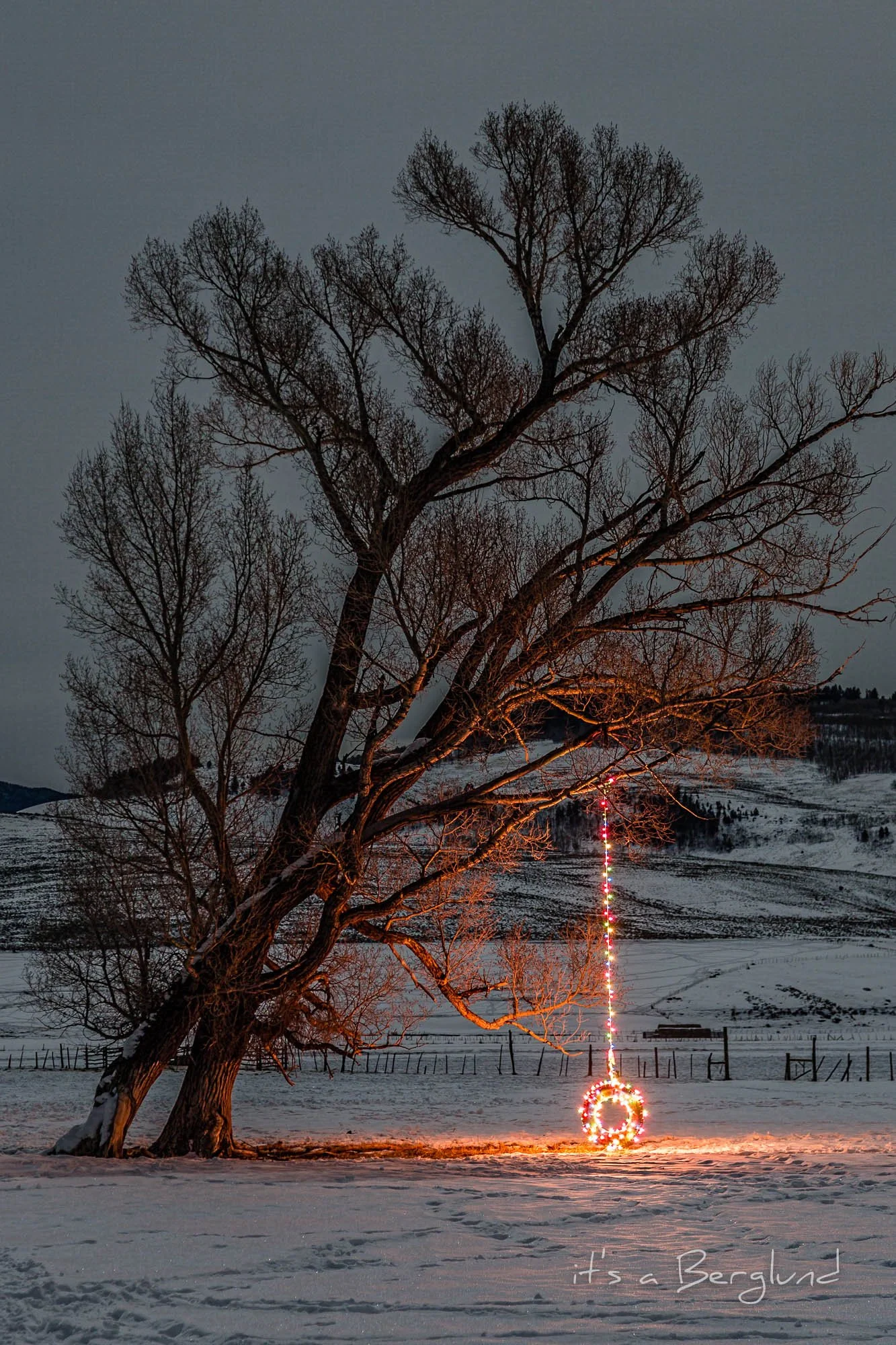 Merry Christmas Tree.jpg