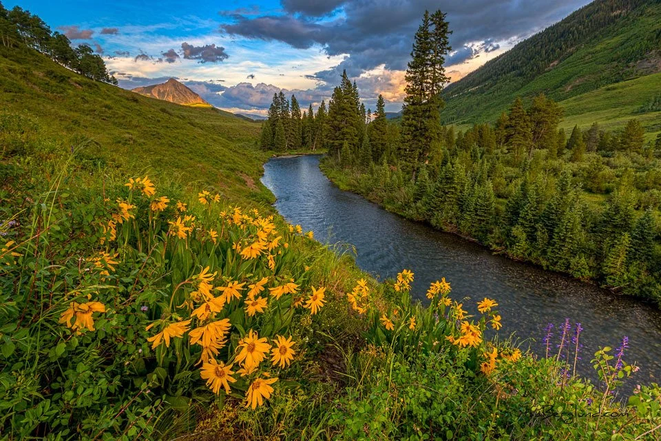 mule's ear at slate.jpg
