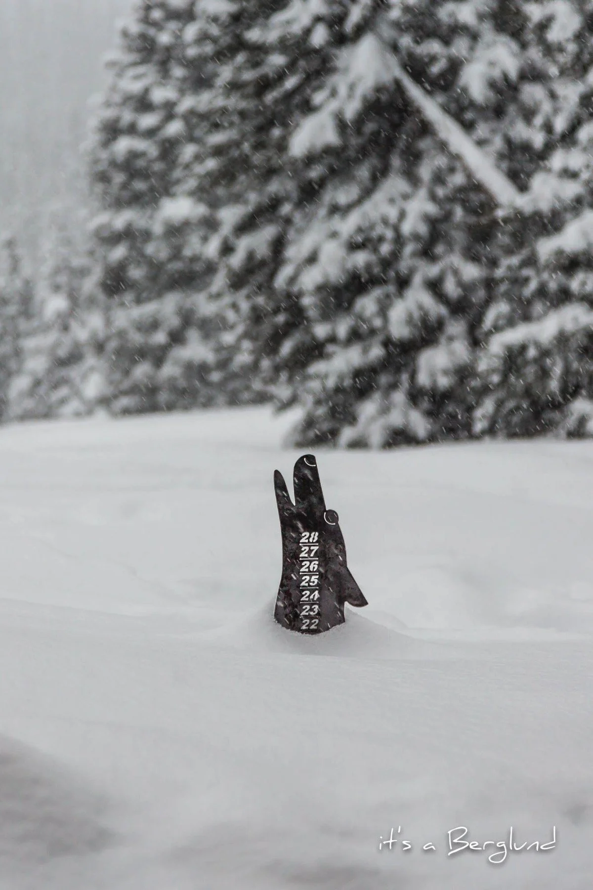 Howl at the Snow.jpg