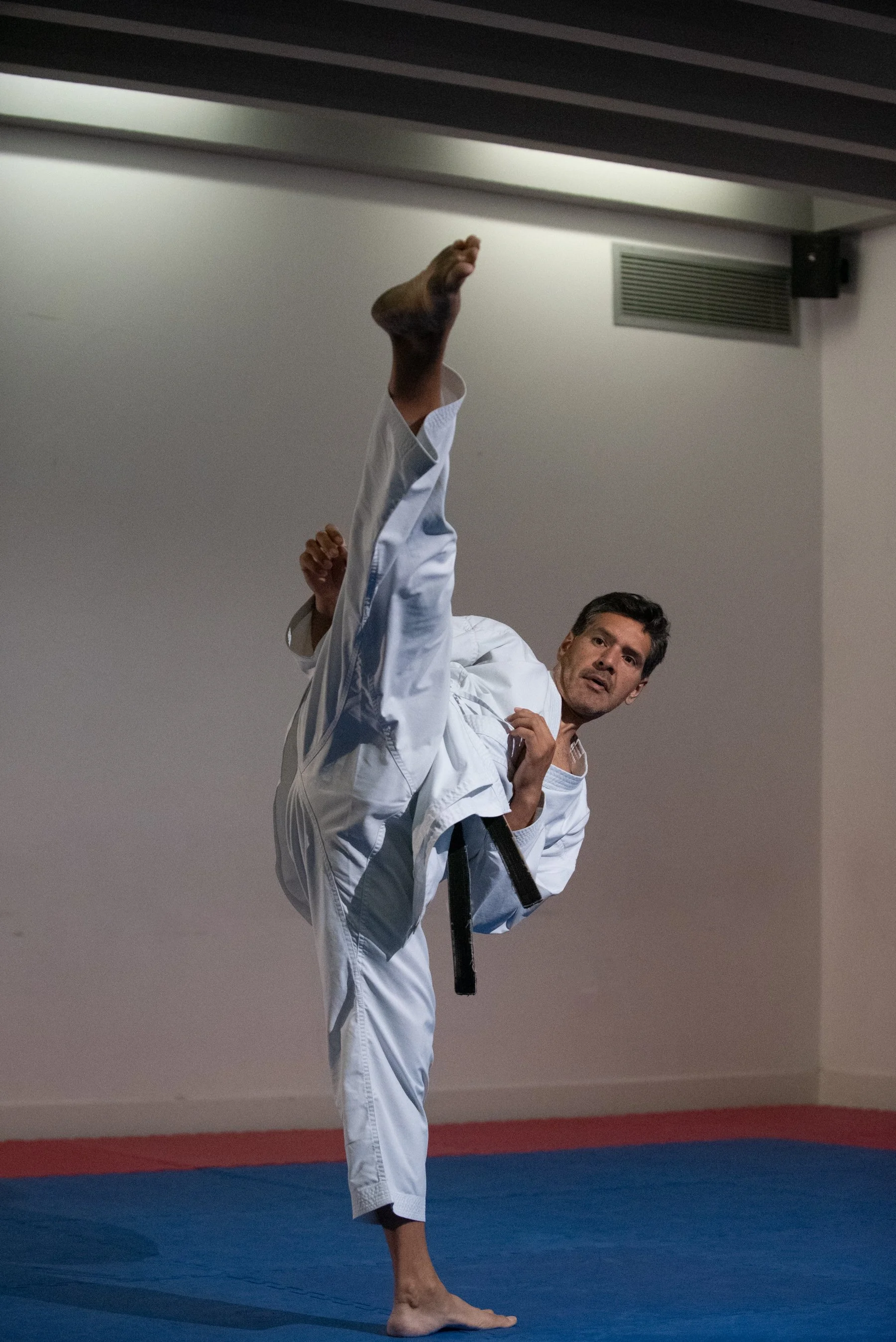 Karate Seminar with Les Bubka, Gabriel Van Rel & Don Came - 11/07/2026