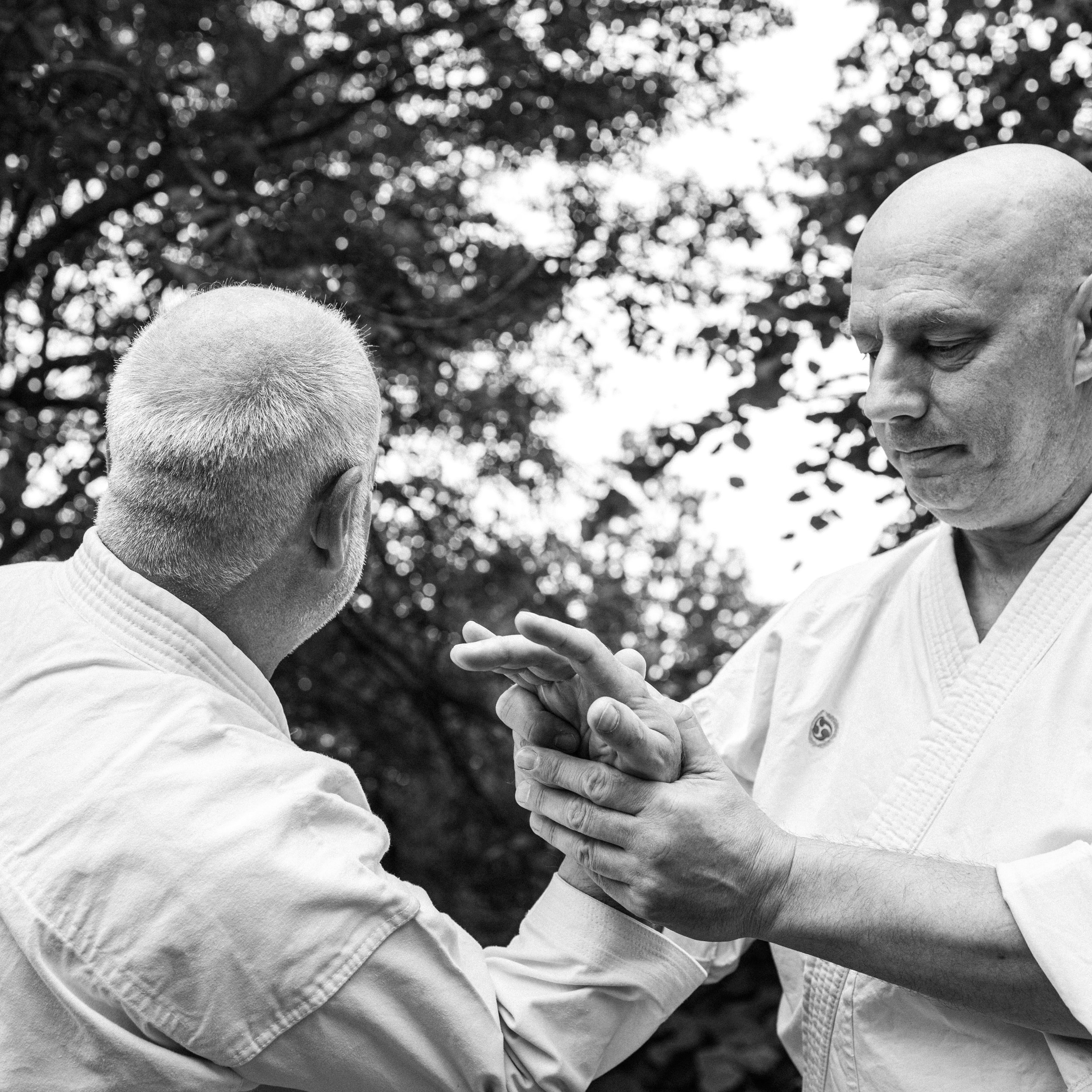 Introduction to Karate
