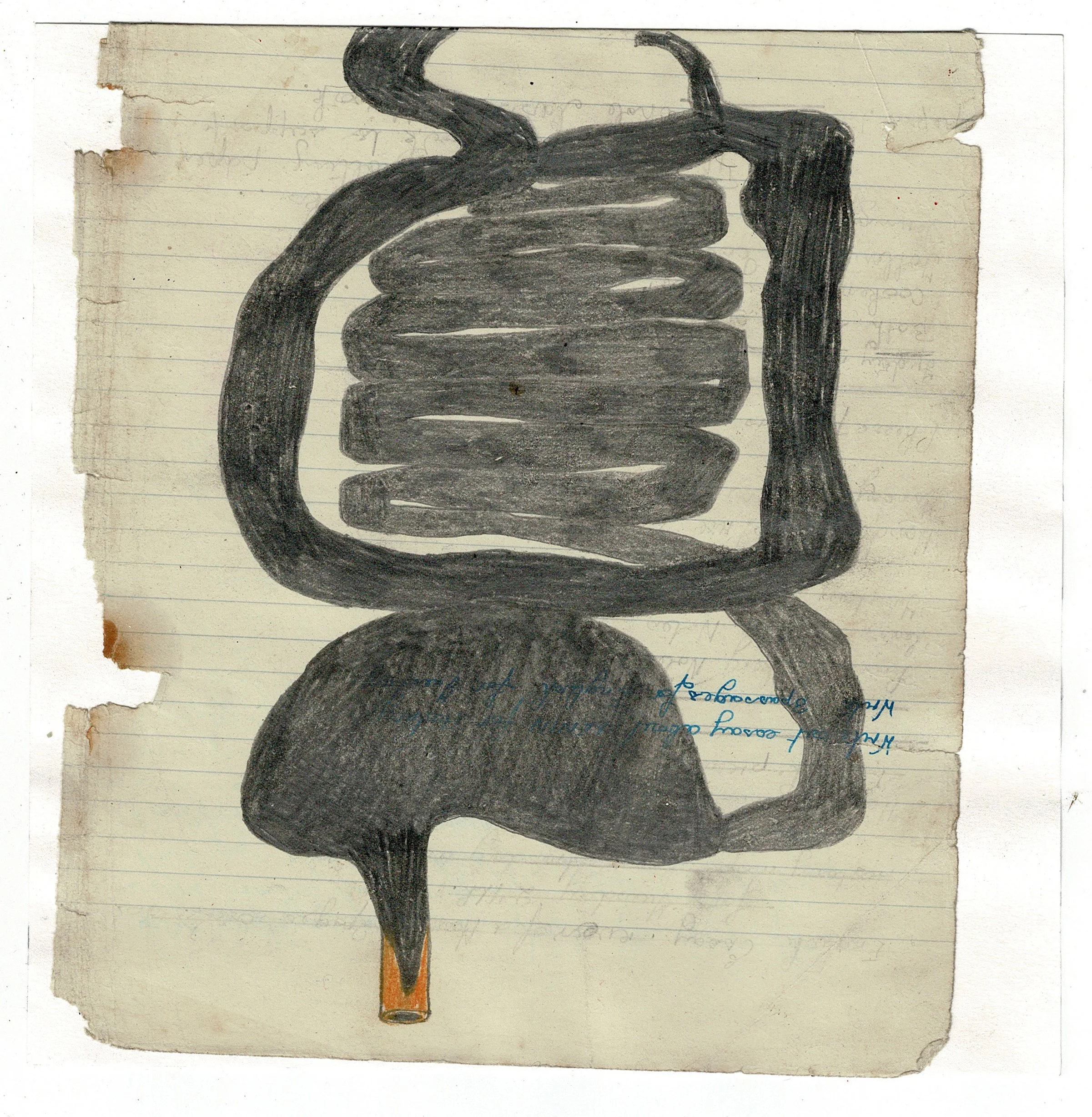 Guts 1, 2026, graphite, colour pencil and collage