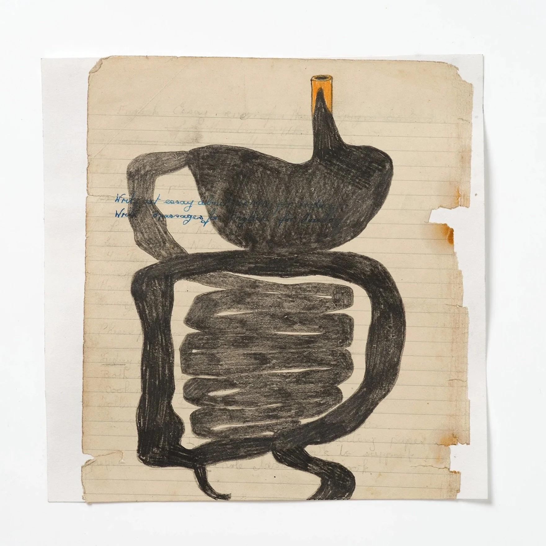 Guts 1, 2026, graphite, colour pencil, found paper