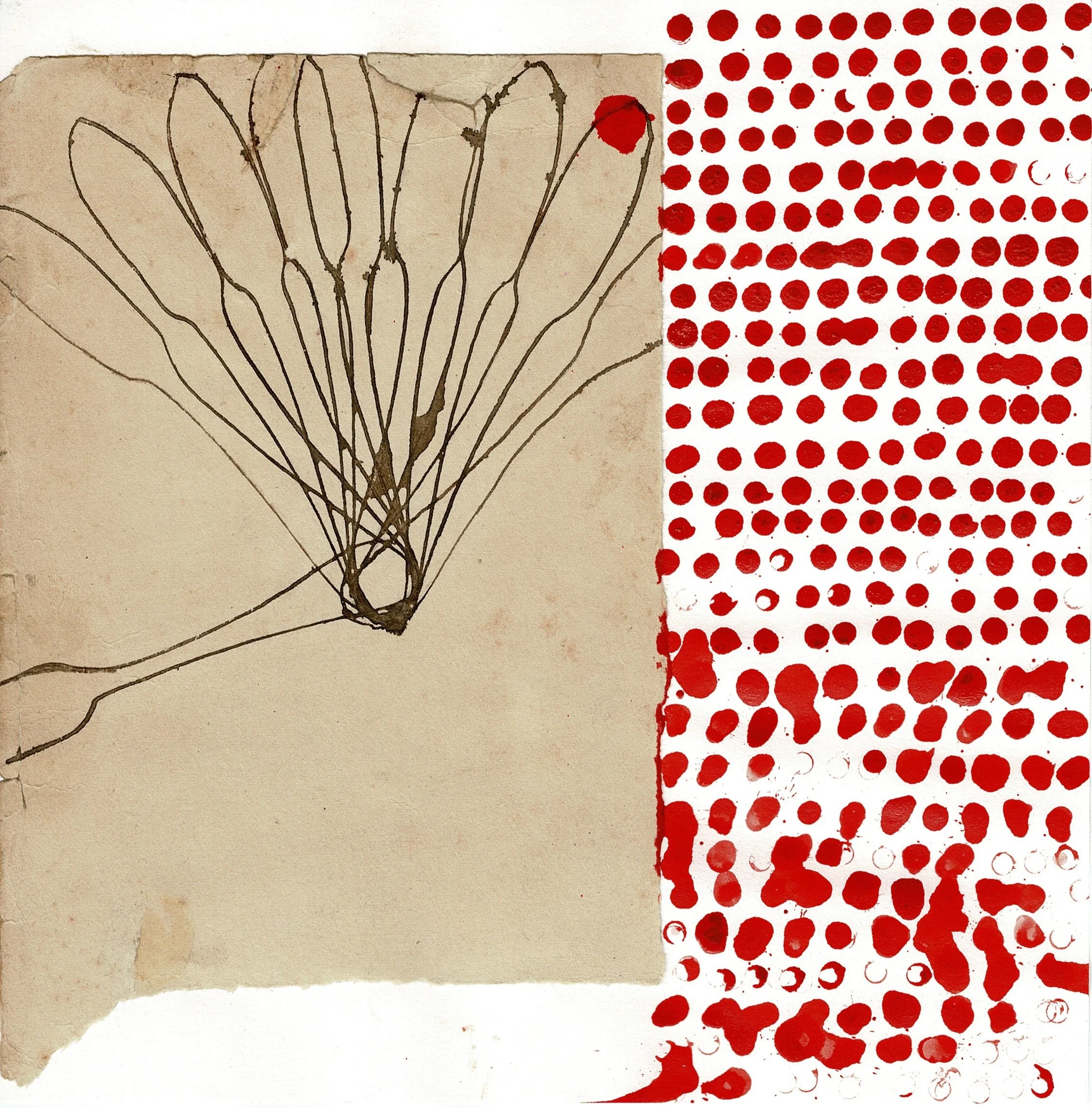 Lung Function, 2025, ink and collage