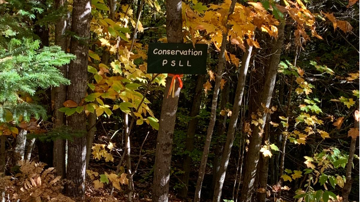 Mise à jour communautaire No. 15