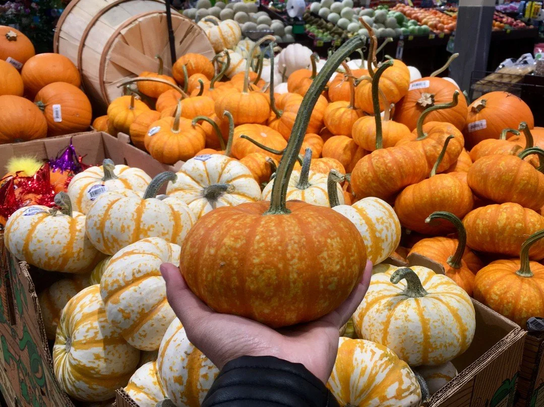 Have you picked your pumpkins for the season yet? 🎃 Now is the perfect time!
Swing by @saveonfoods at Garden City Shopping Centre and find the perfect pumpkins for all your Halloween decorating fun. 
#GardenCityShoppingCentre #SaveOnFoods #Hallowe