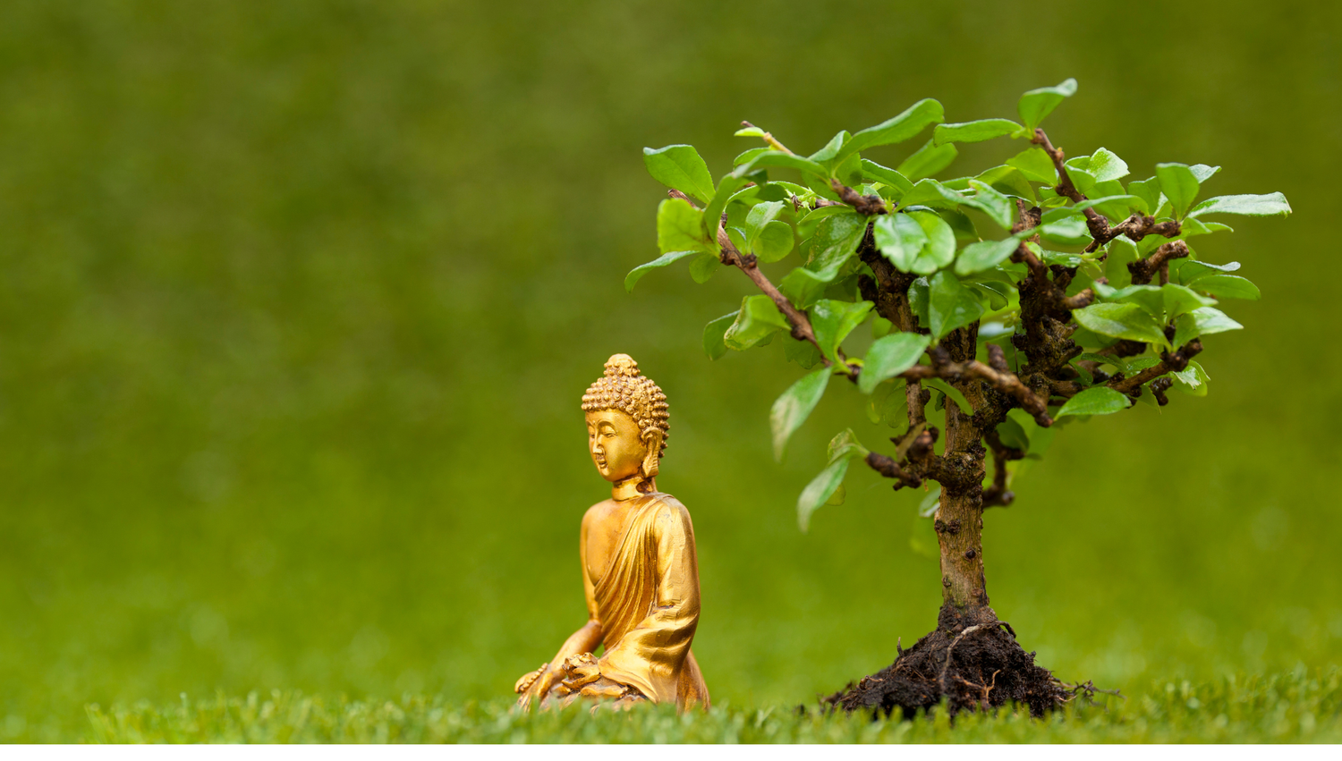 DEI Observance Calendar for Your Workplace CultureAlly