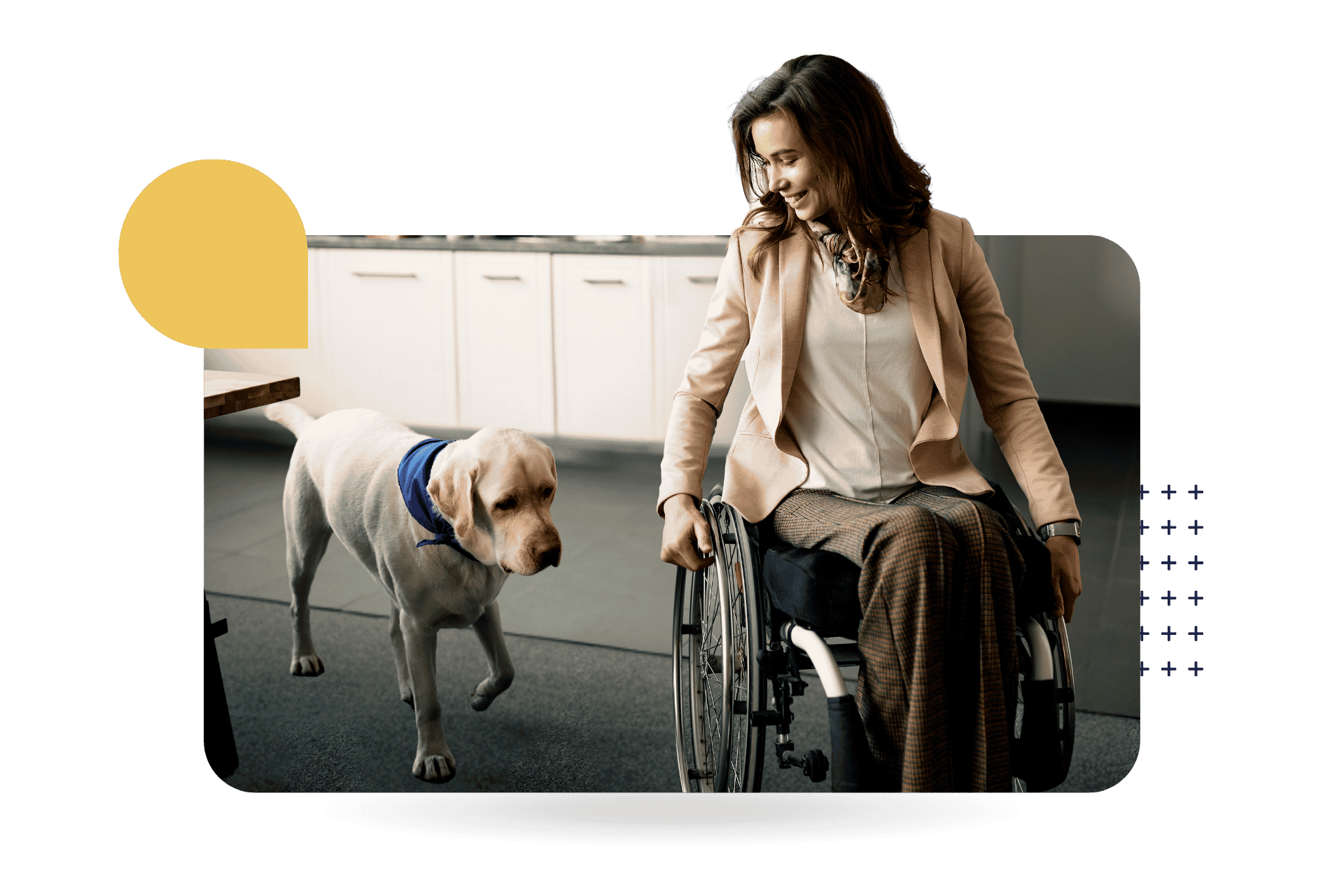 A smiling woman in a wheelchair looks down at a yellow Labrador wearing a blue service-dog bandana in a sunlit kitchen representing CultureAlly Disability Awareness Month