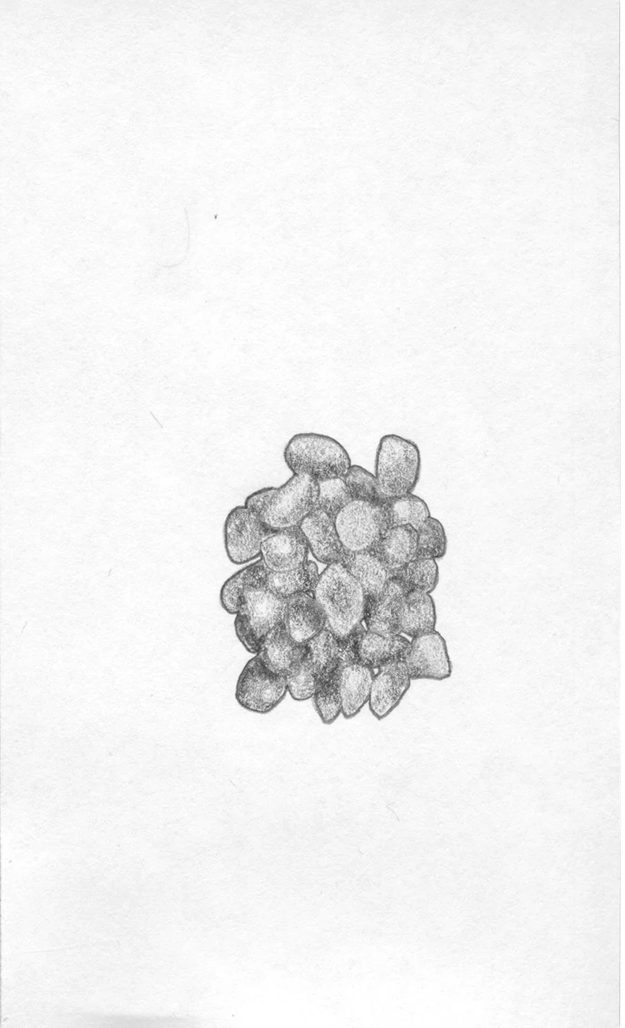 ROCKS CARD.jpg