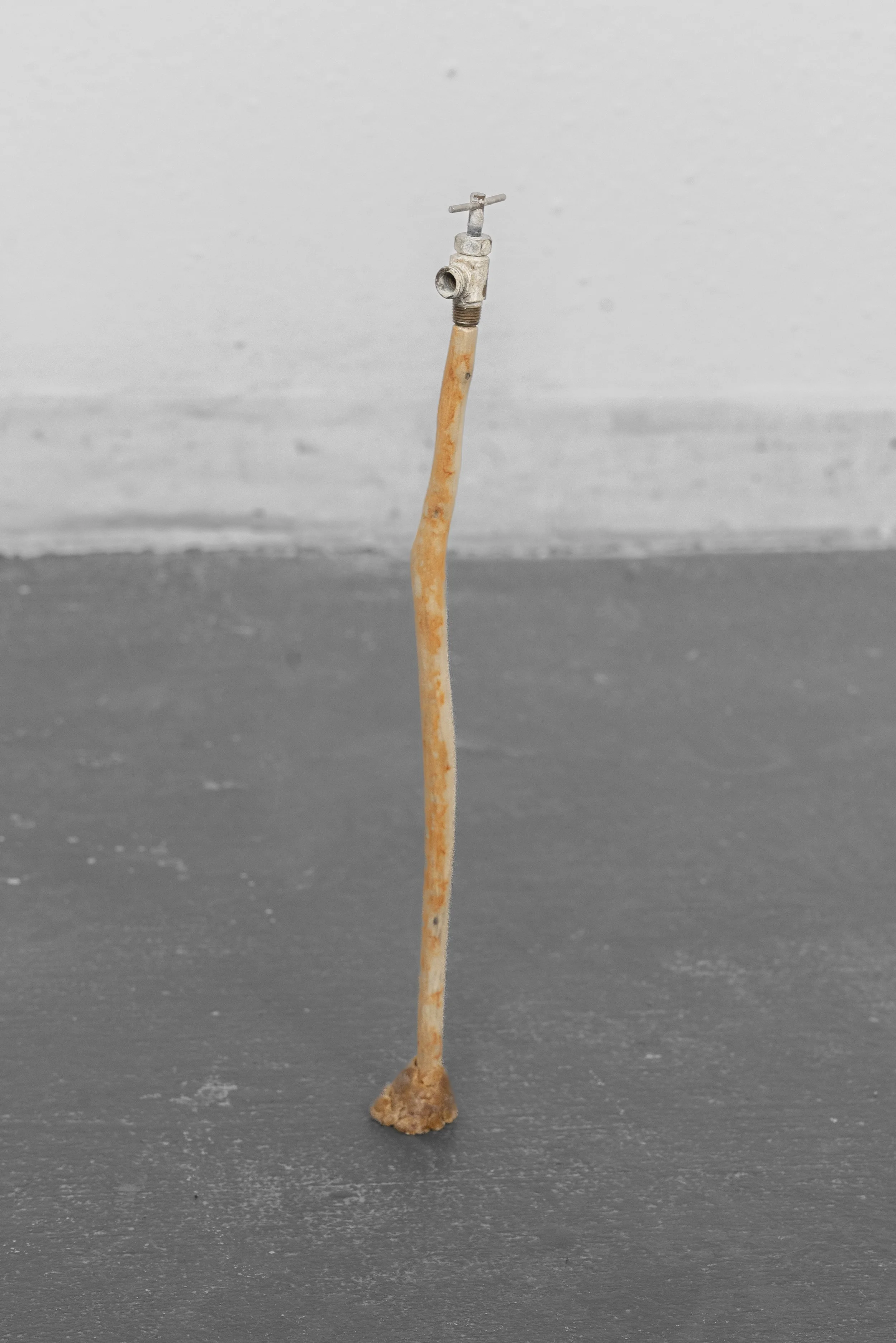 Swamp Cooler Spigot 
swamp cooler water valve, driftwood, beeswax
1.5” x 1.5” x 13.5