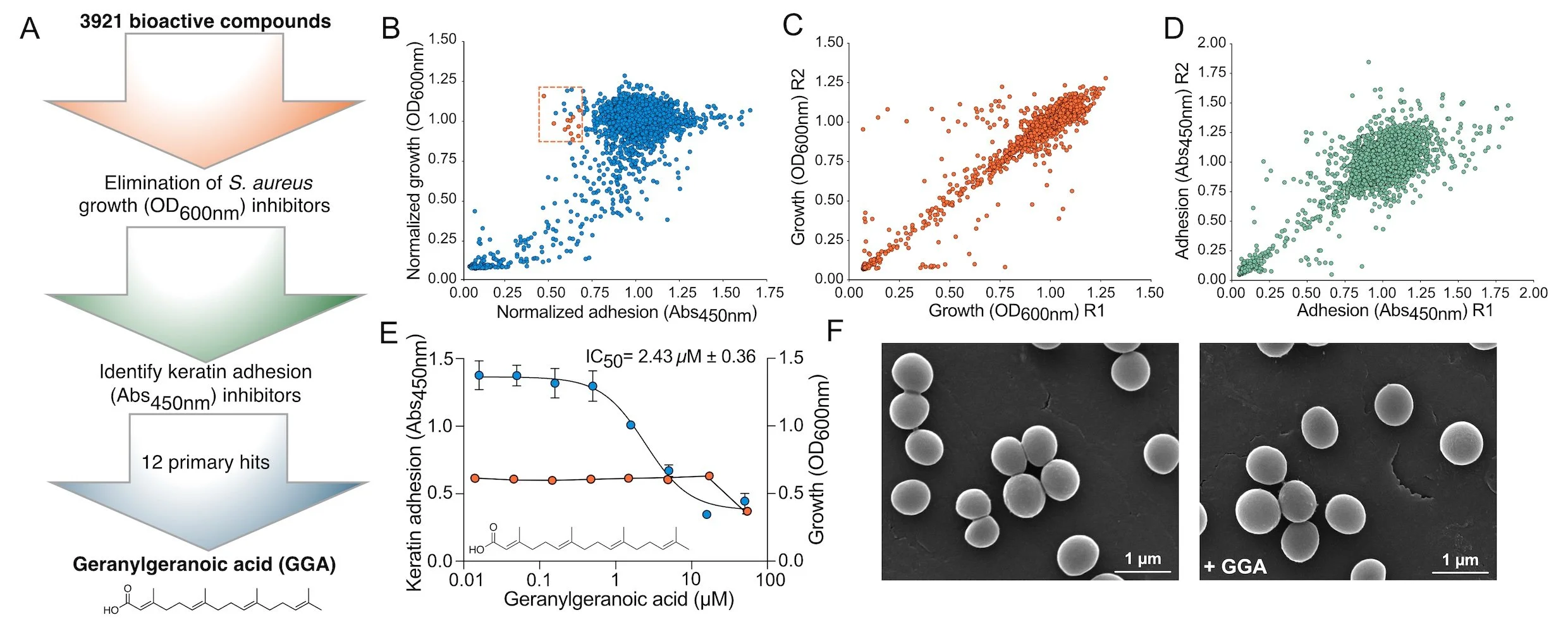 An anti-adhesive compound modulating the production of&nbsp;Staphylococcus aureus&nbsp;cell wall-anchored proteins