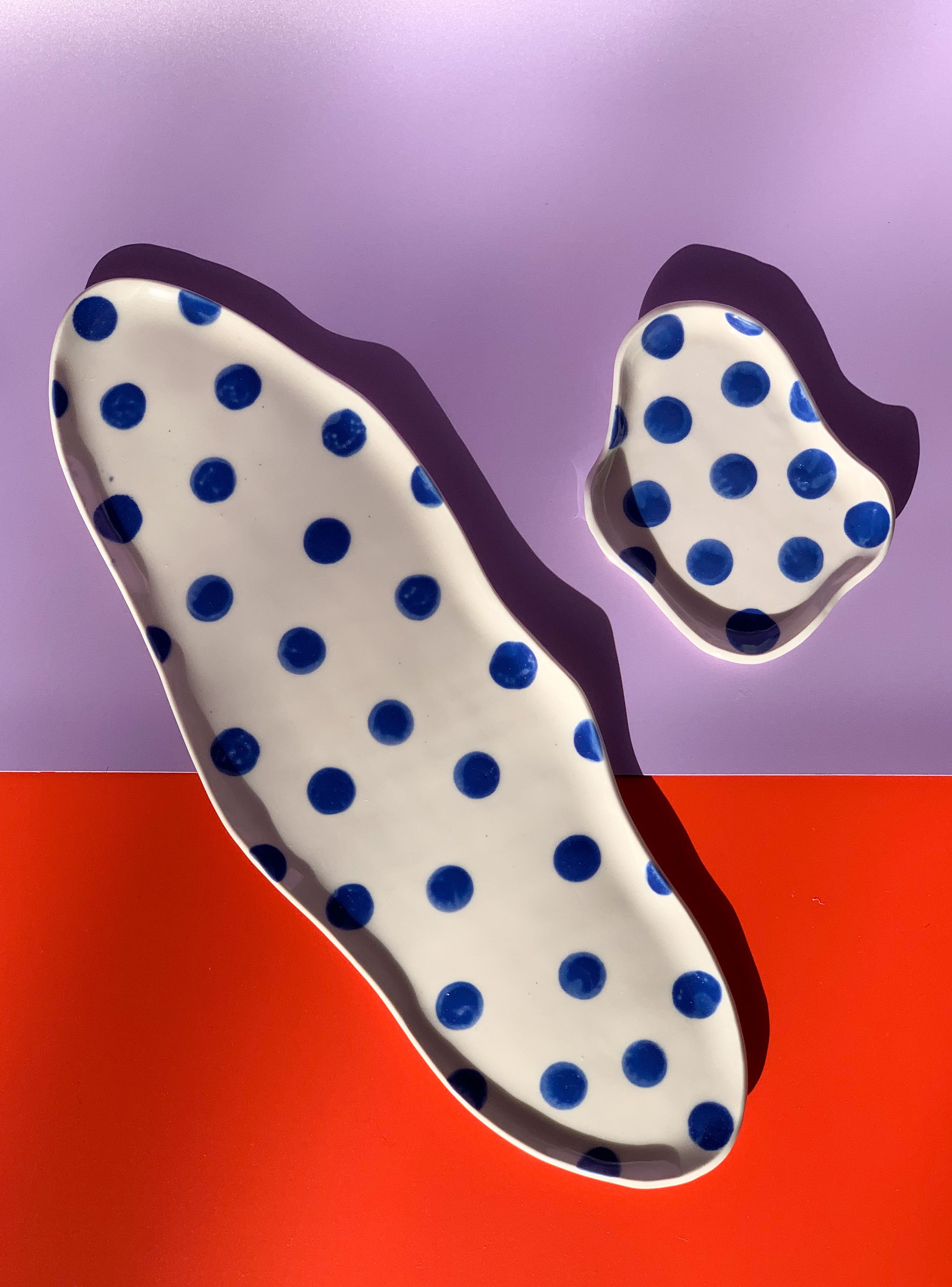 blue-dot-trays-IMG_8138.jpg