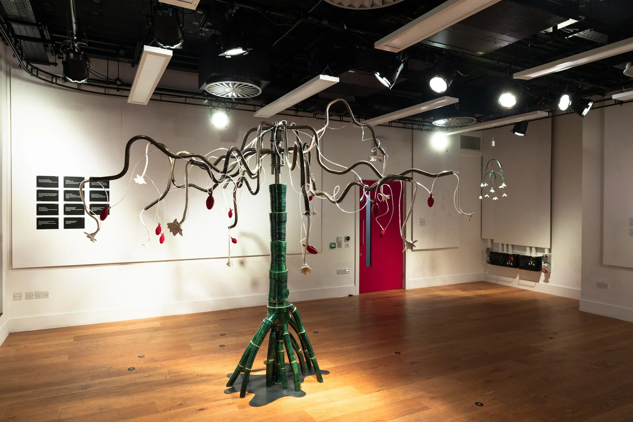 Emilia González Salgado &amp; Gabriela Román González: Proximity as a Line of Flight