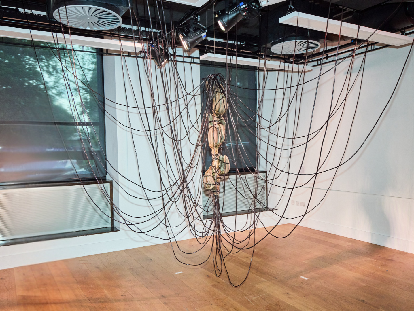 Daniel Bernal, Patria (Fluid Roots) | Plaster, silicone pipes, burnt engine oil, 2025 - Patria is a suspended installation made from plaster forms that resemble bananas, held within a network of silicone pipes filled with burnt engine oil. The work c