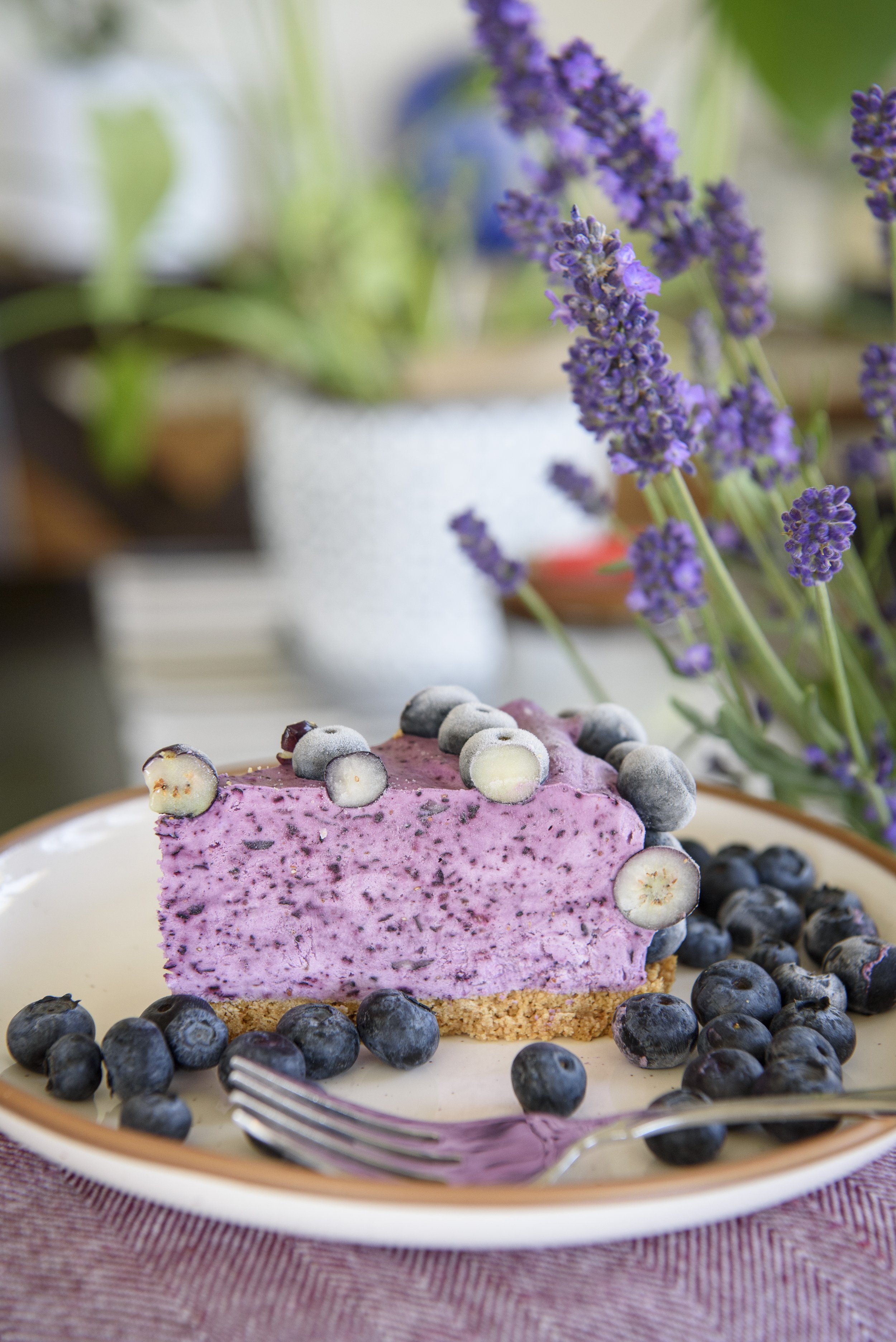 Frozen Blueberry Dessert