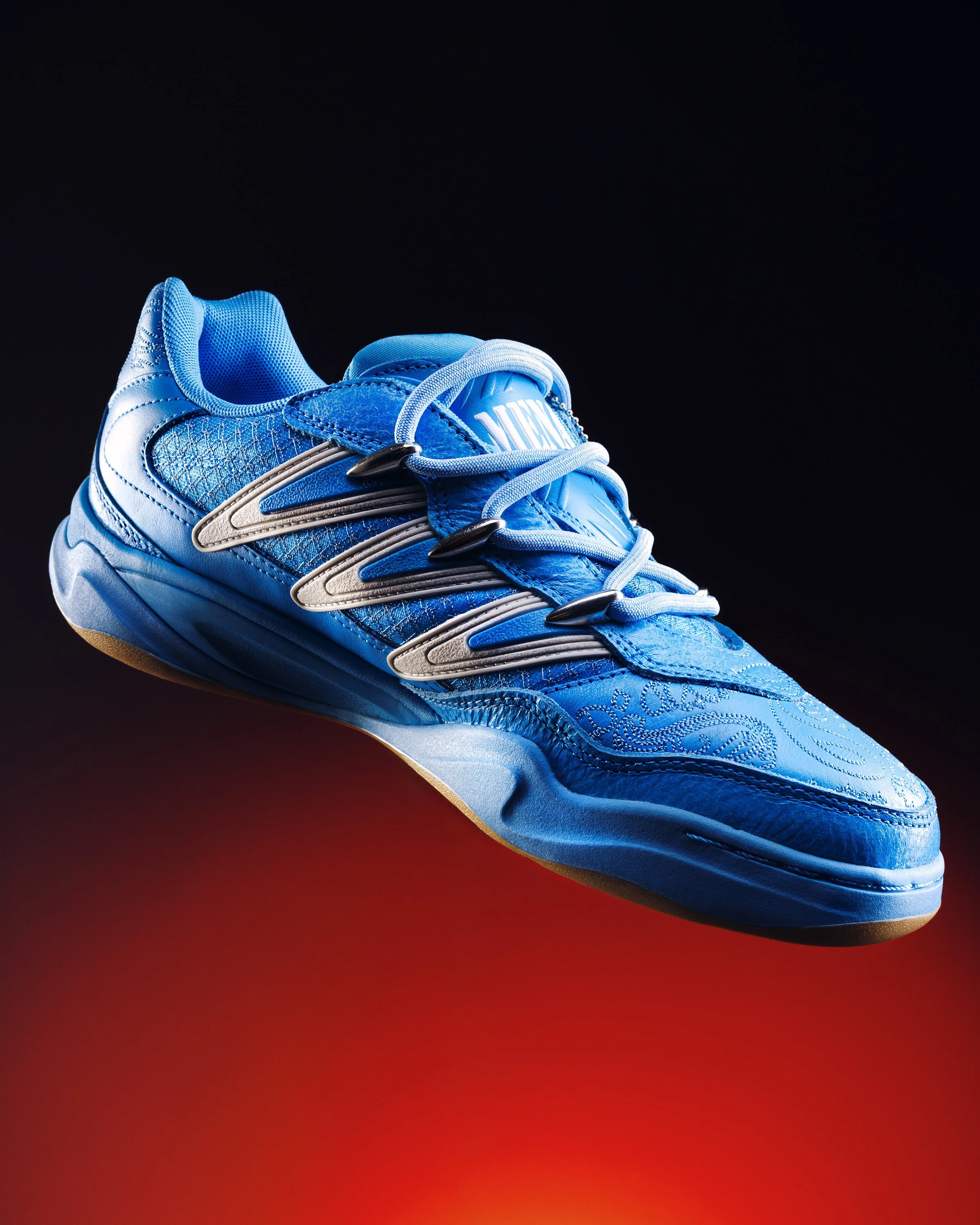 blue24x5.jpg