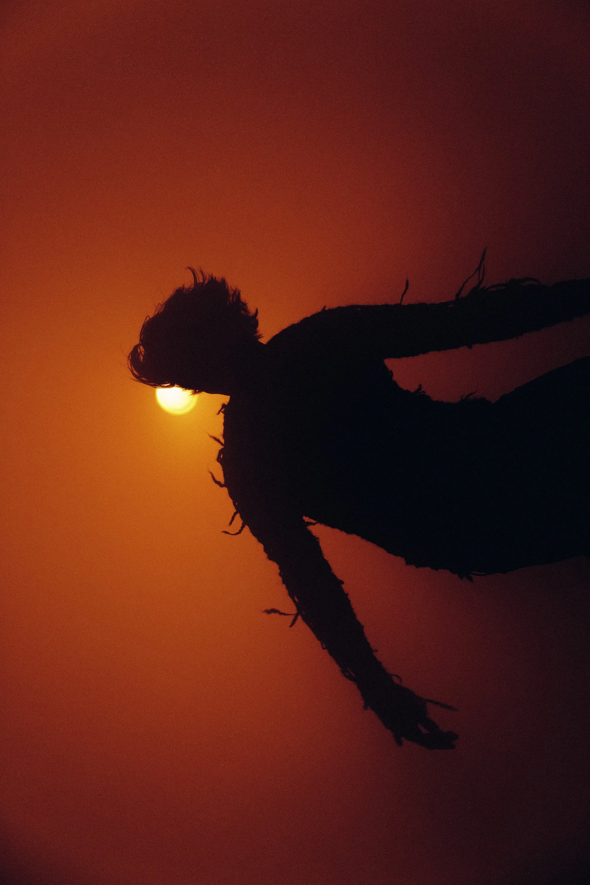 Silhouette of a dried flower against a sunset or sunrise sky with a bright sun near the horizon.