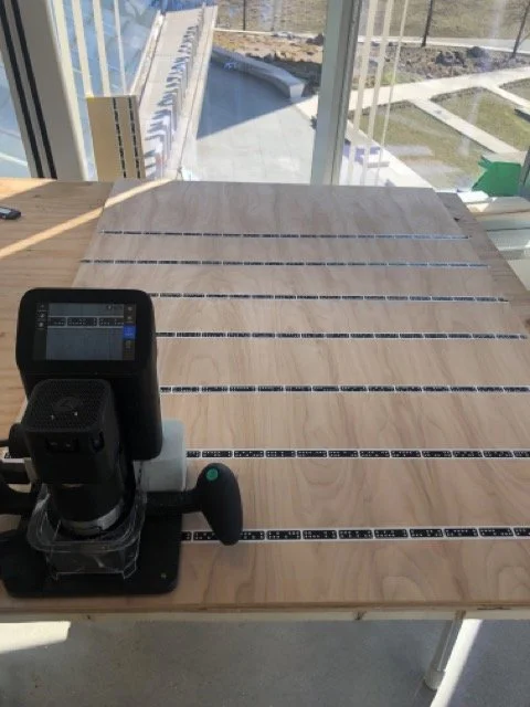 IMG_2806 Medium.jpeg