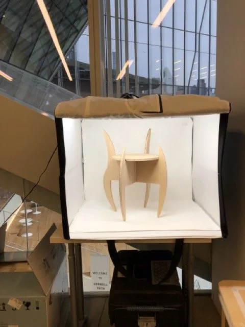 IMG_2856 Medium.jpeg