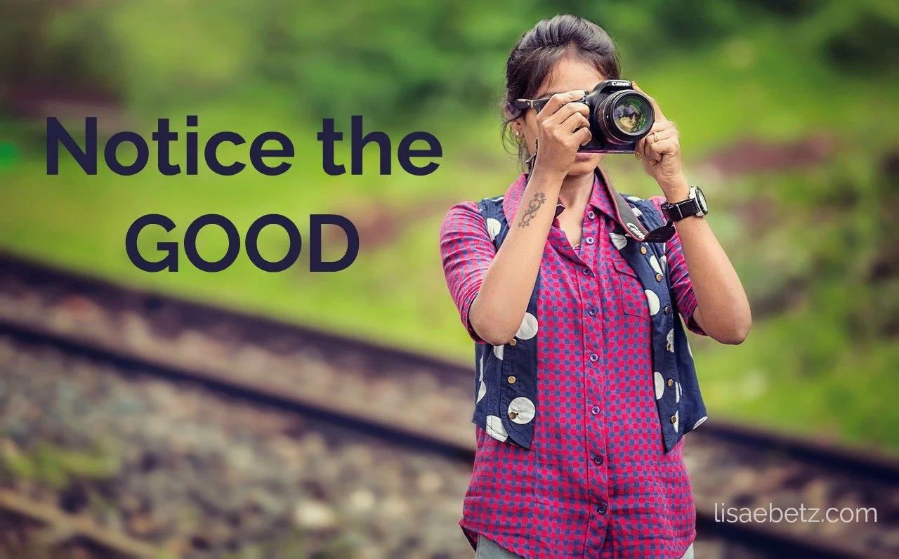 Relearning How to Notice Goodness
