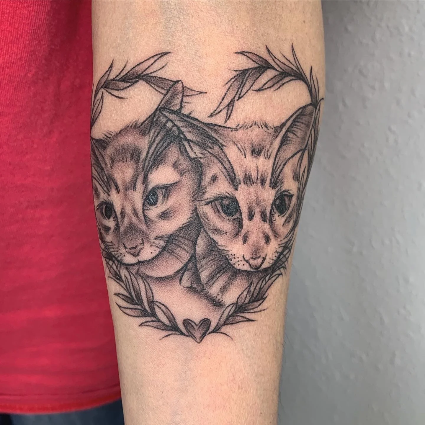 cat portraits - bg.JPG